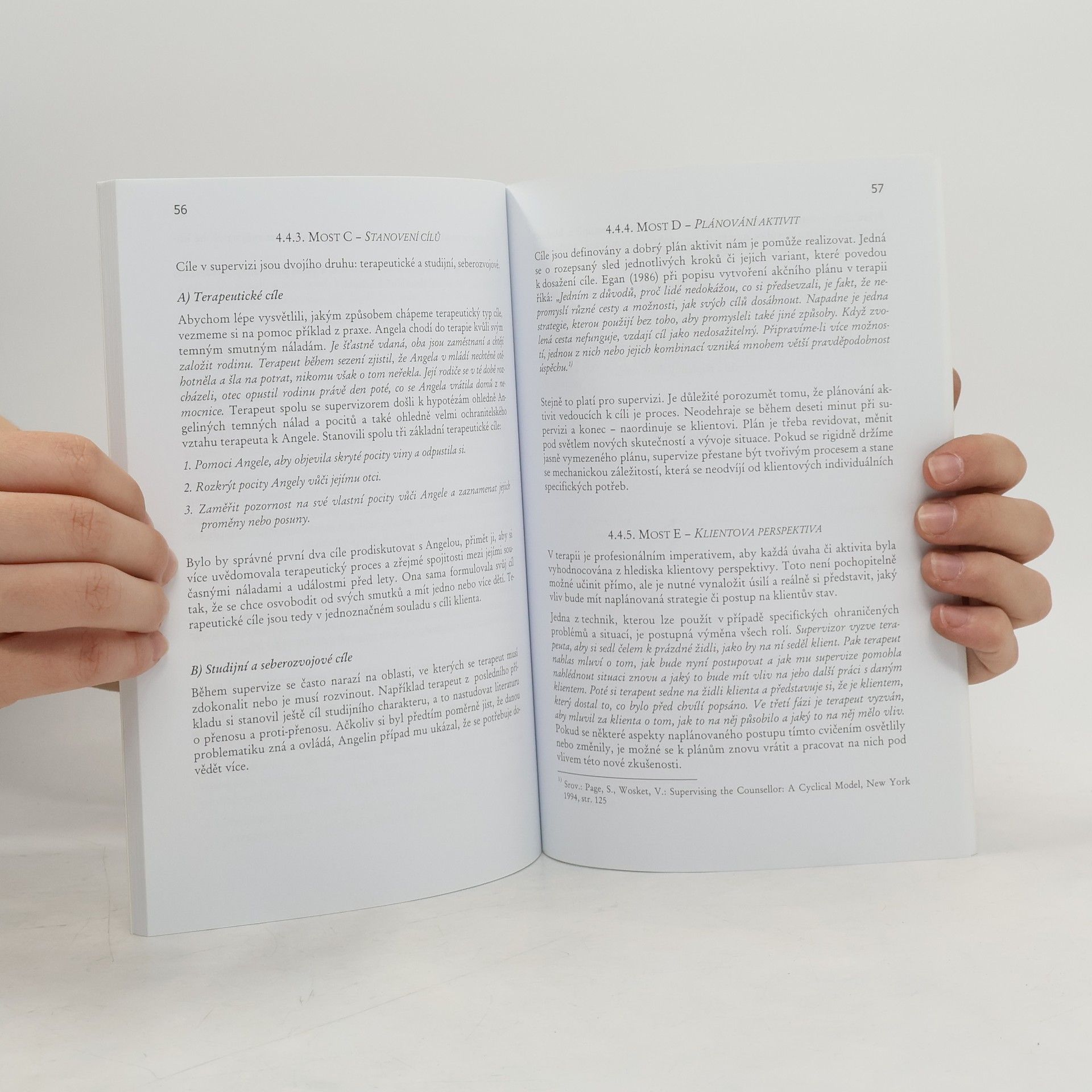 František Šalé Úvod do supervize: Cyklický model