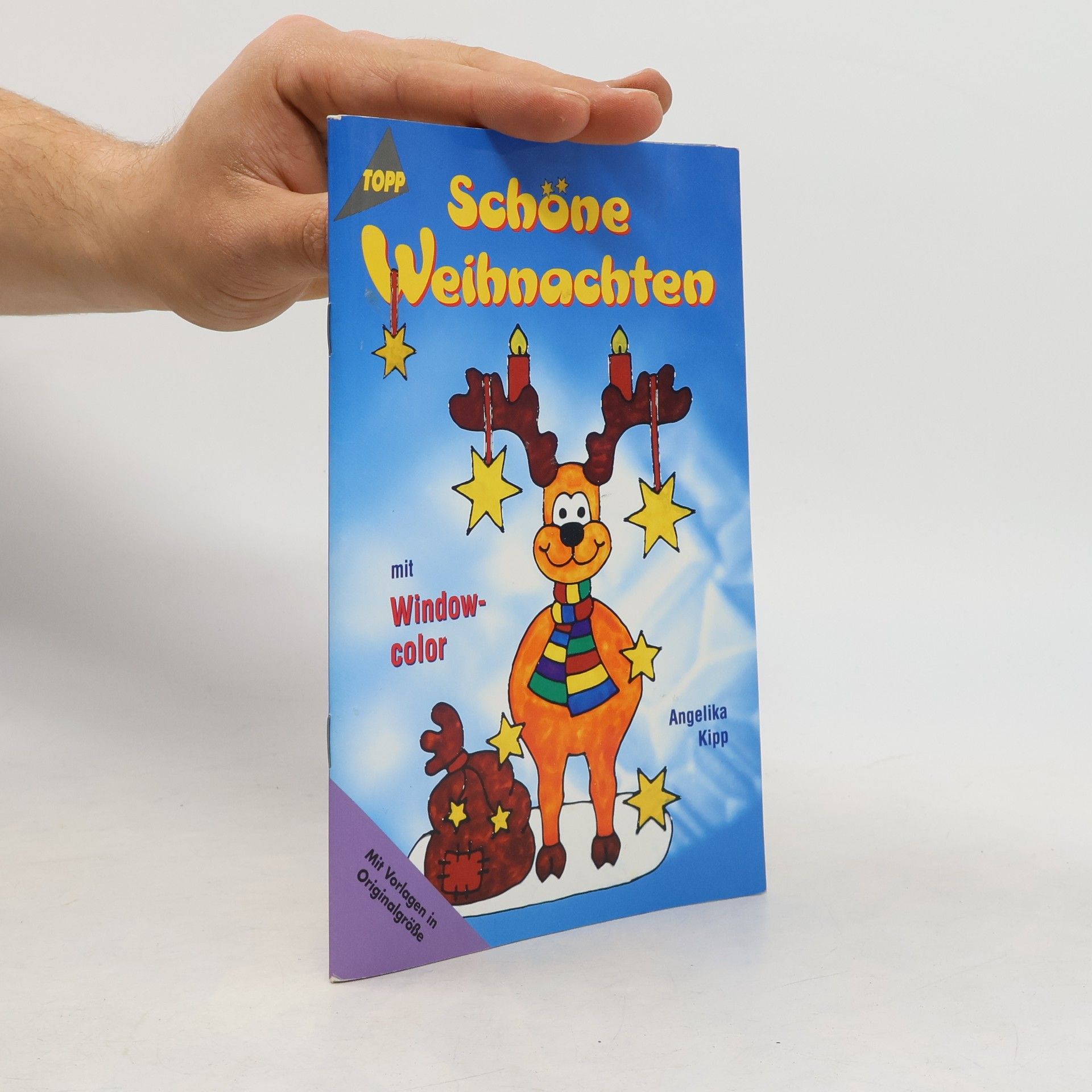 Schöne Weihnachten mit Windowcolor