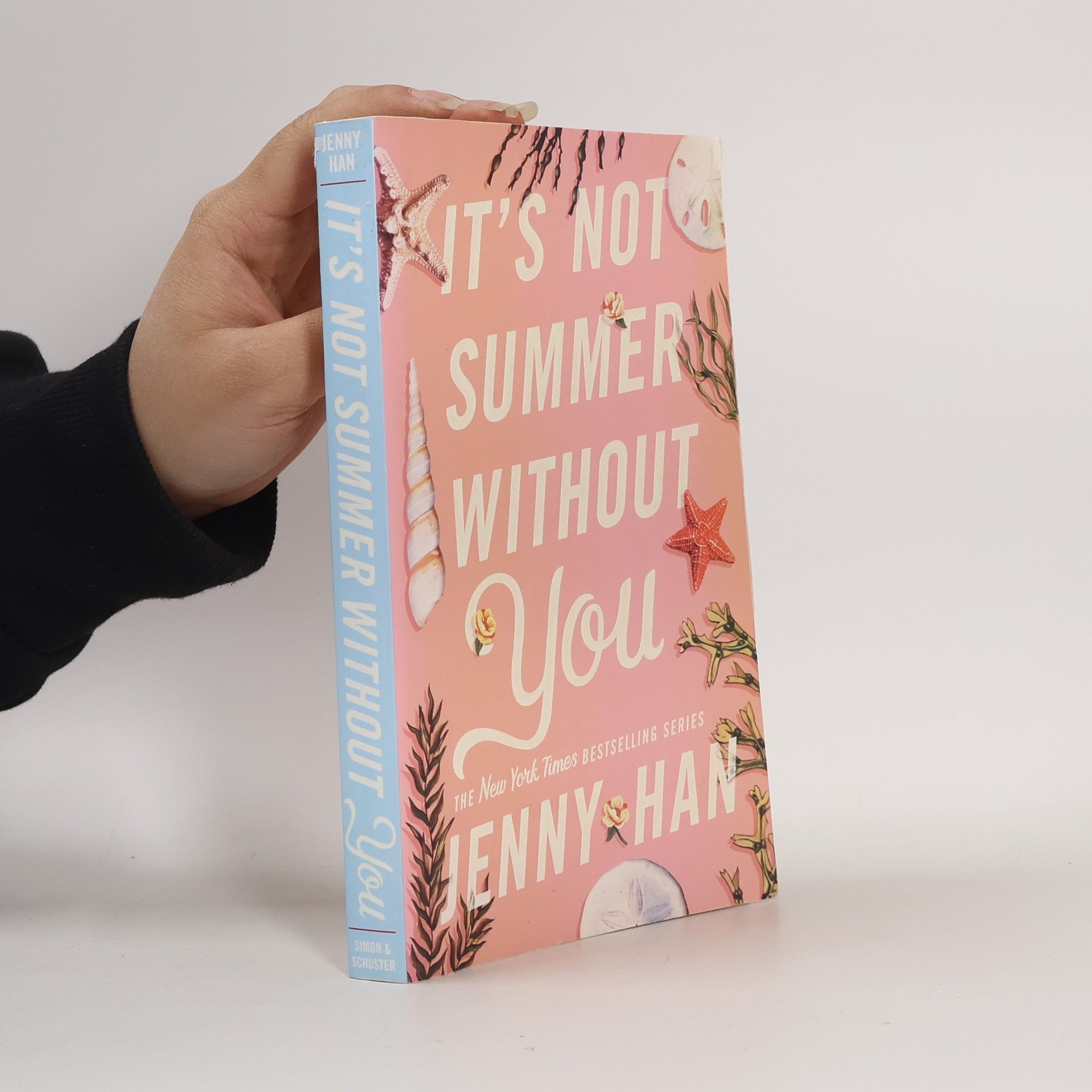 Jenny Han It's Not Summer Without You