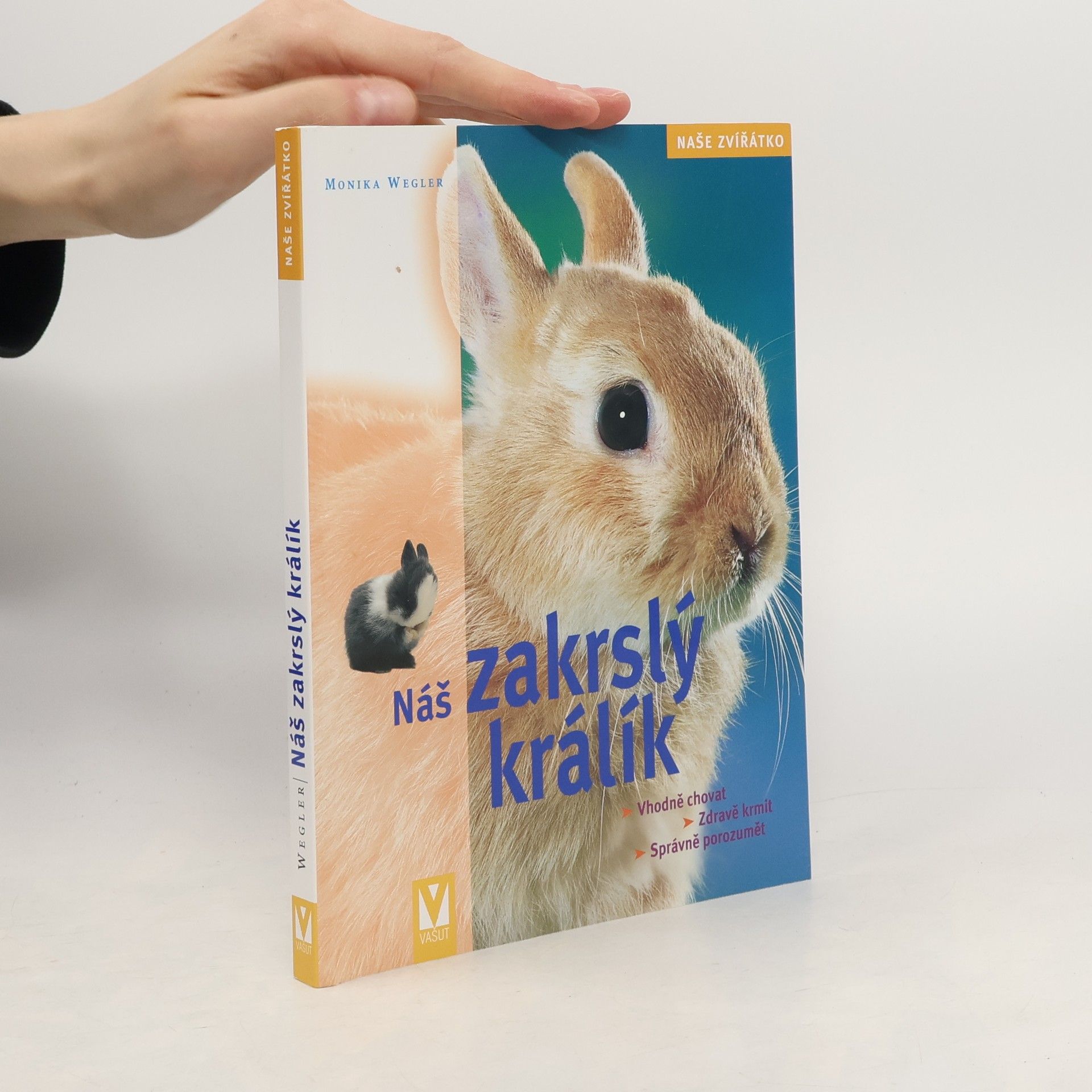 Renate Holzner Náš zakrslý králík