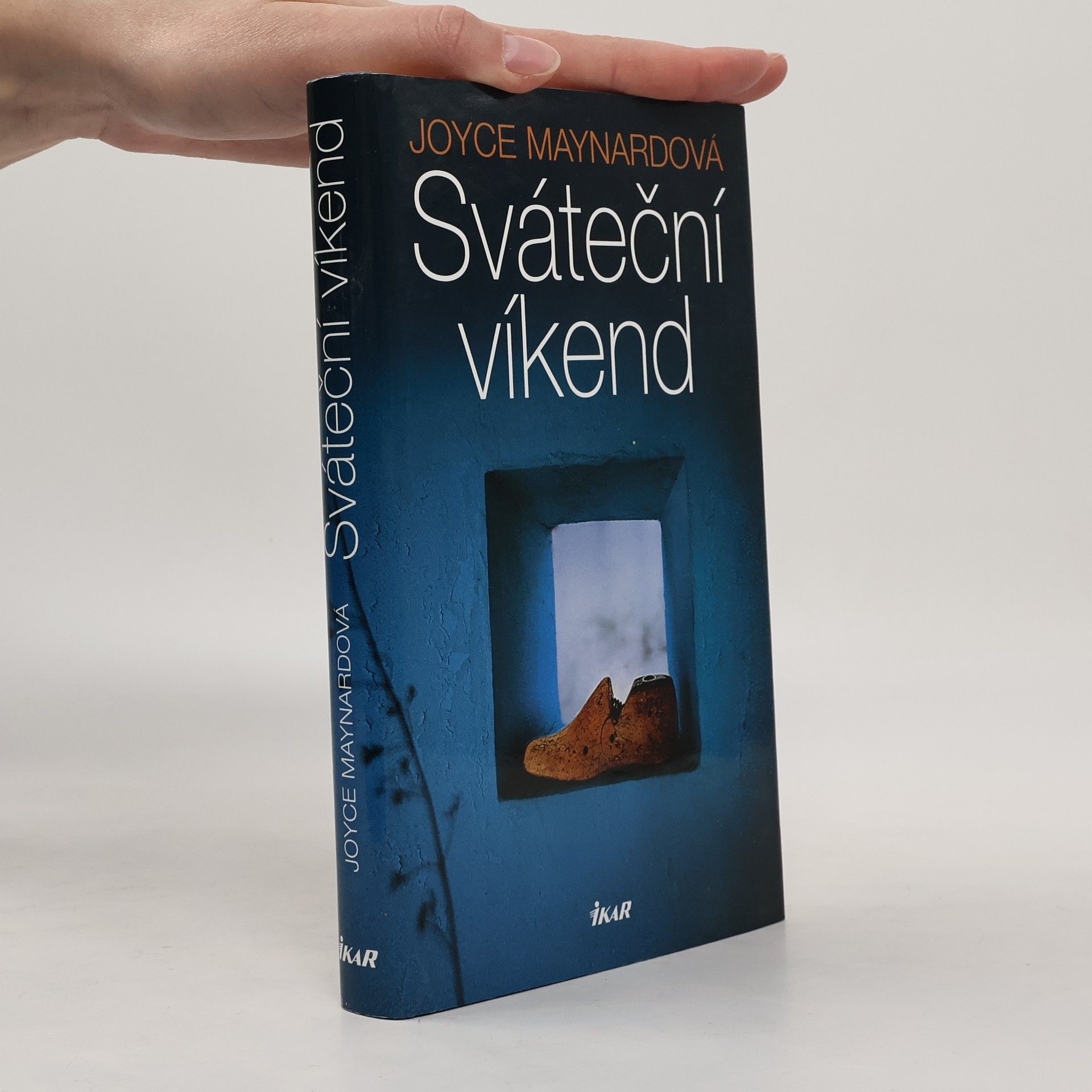 Joyce Maynard Sváteční víkend