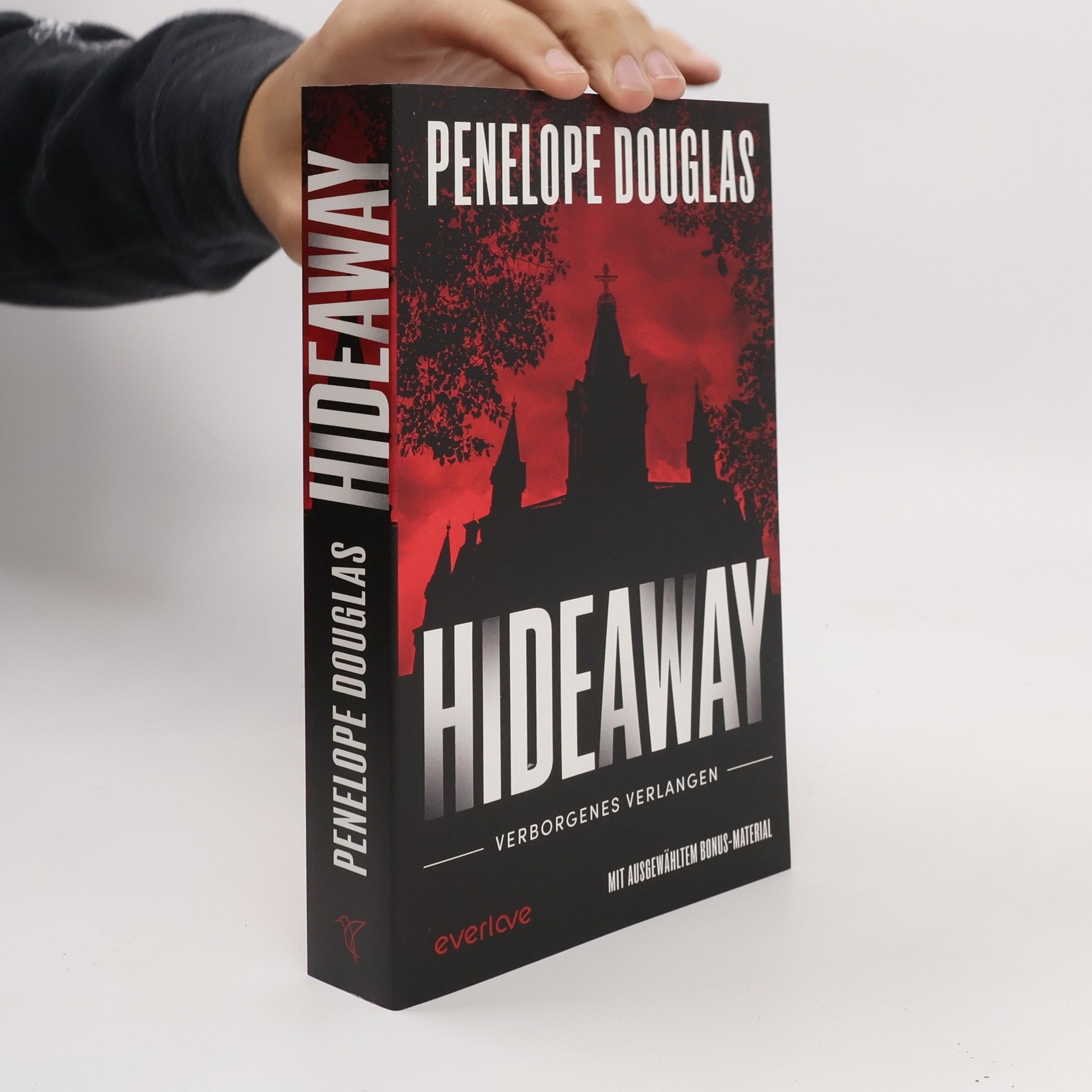 Penelope Douglas Hideaway - Verborgenes Verlangen / Devil’s Night Bd.2
