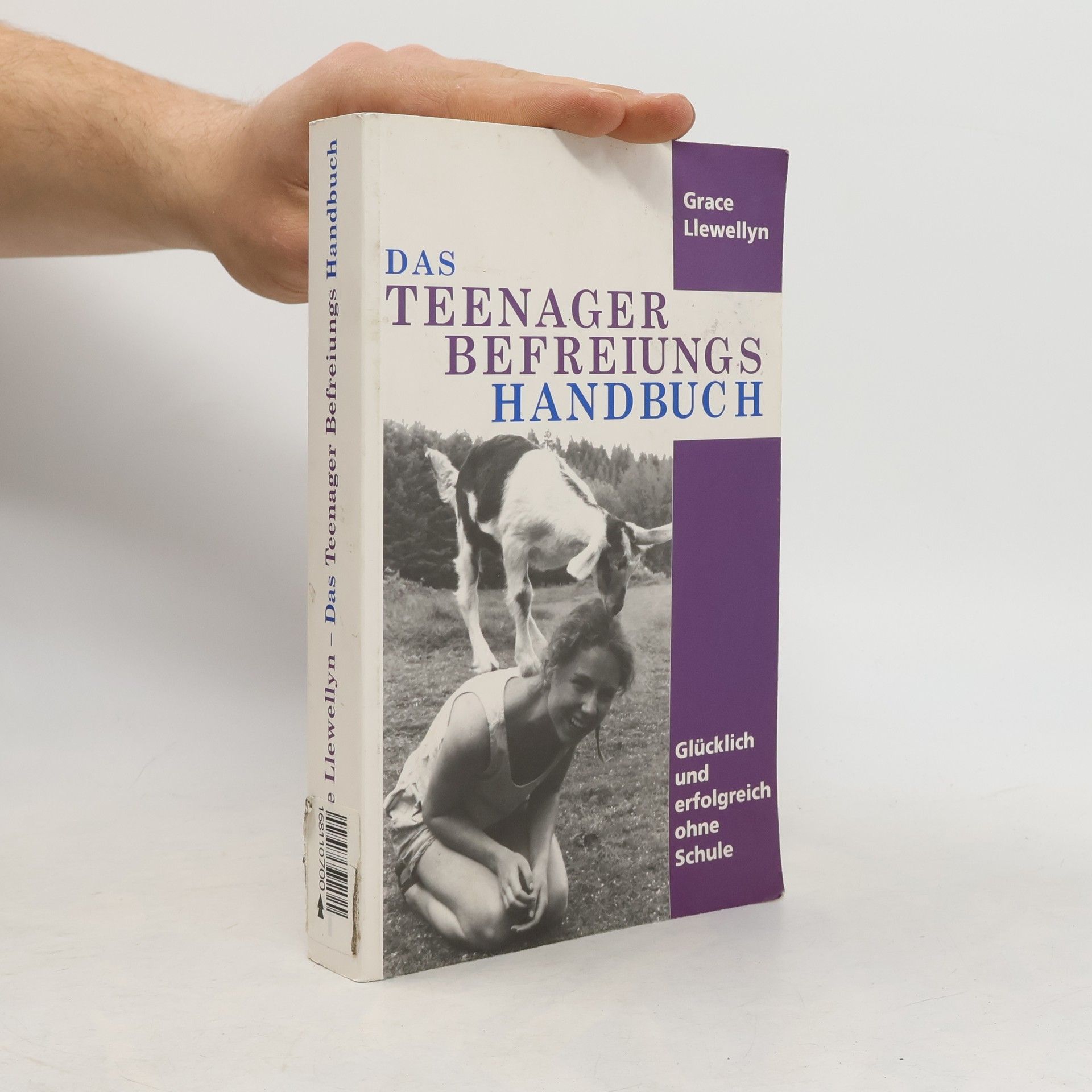 Grace Llewellyn Das Teenager Befreiungs Handbuch