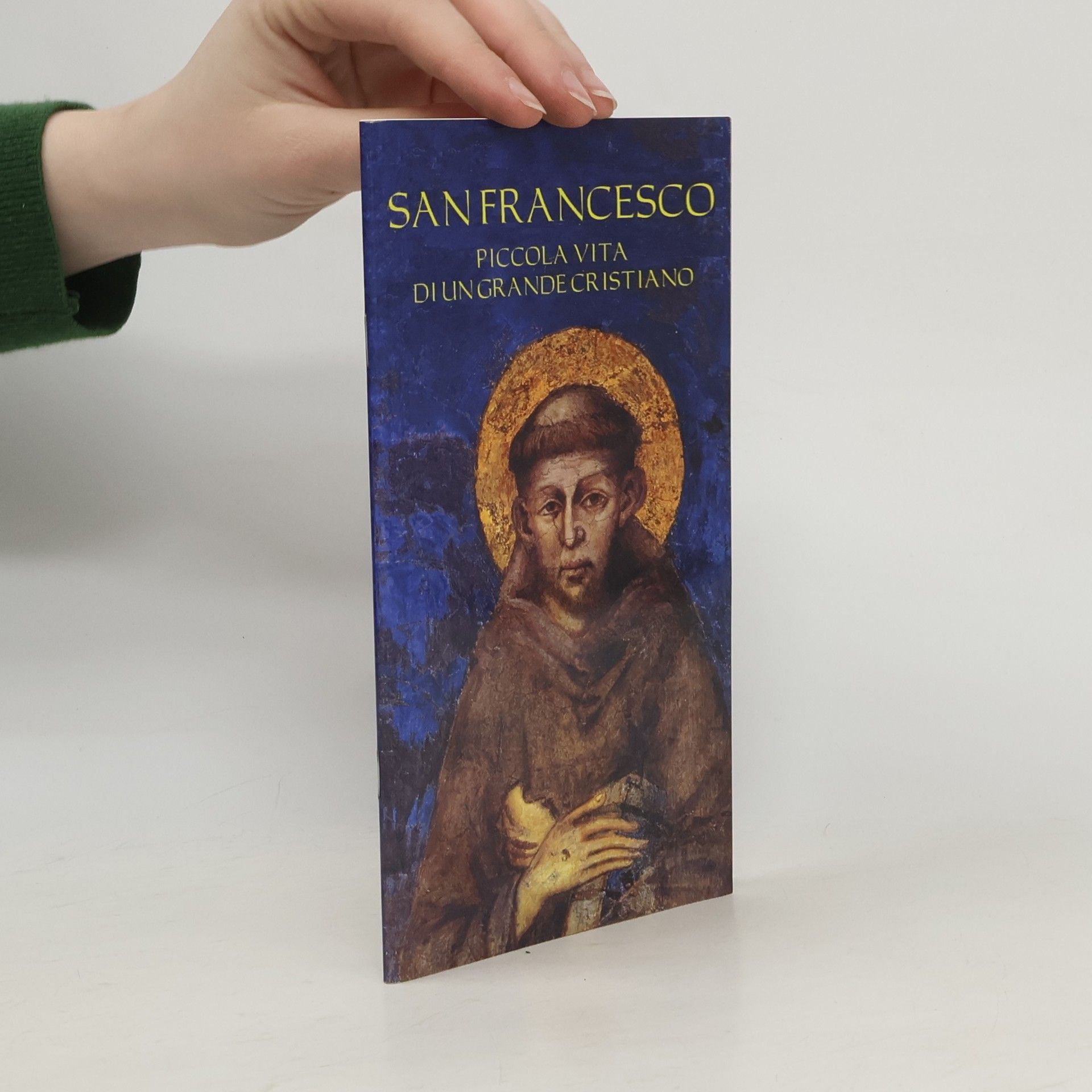 Various authors San Francesco: Piccola vita di un grande cristiano