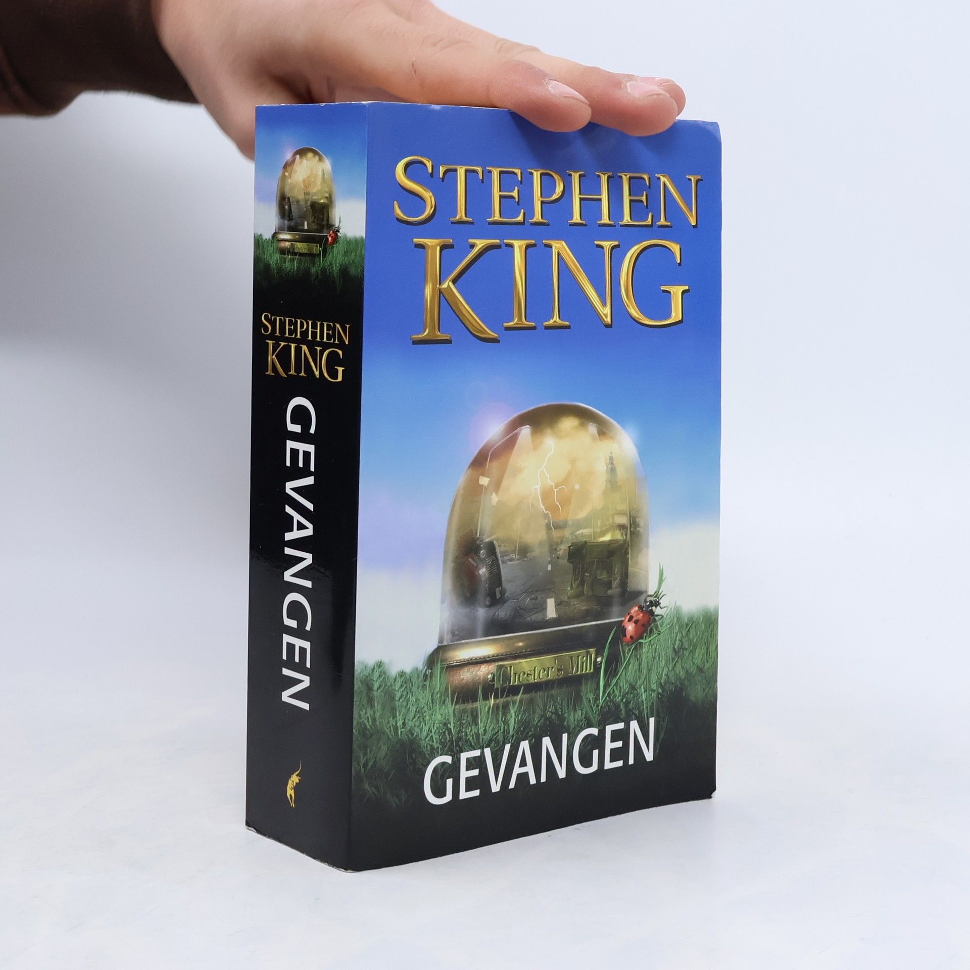Stephen King Gevangen