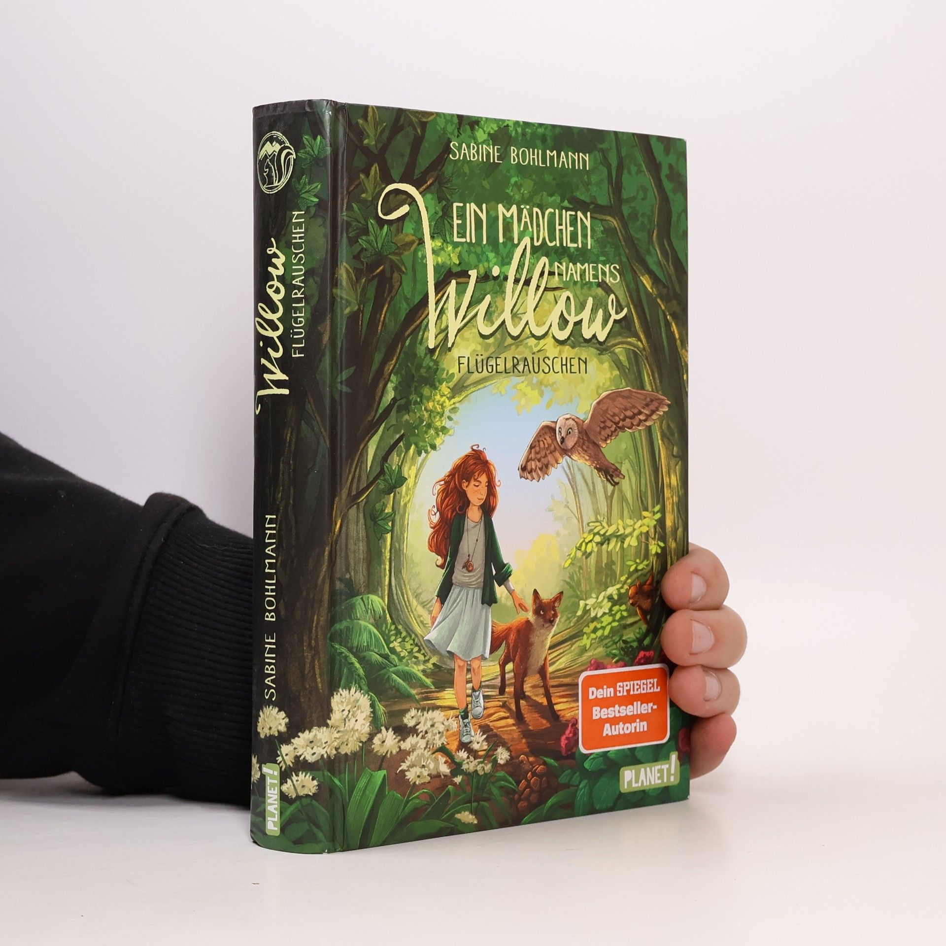 Sabine Bohlmann Ein Mädchen namens Willow - Flügelrauschen