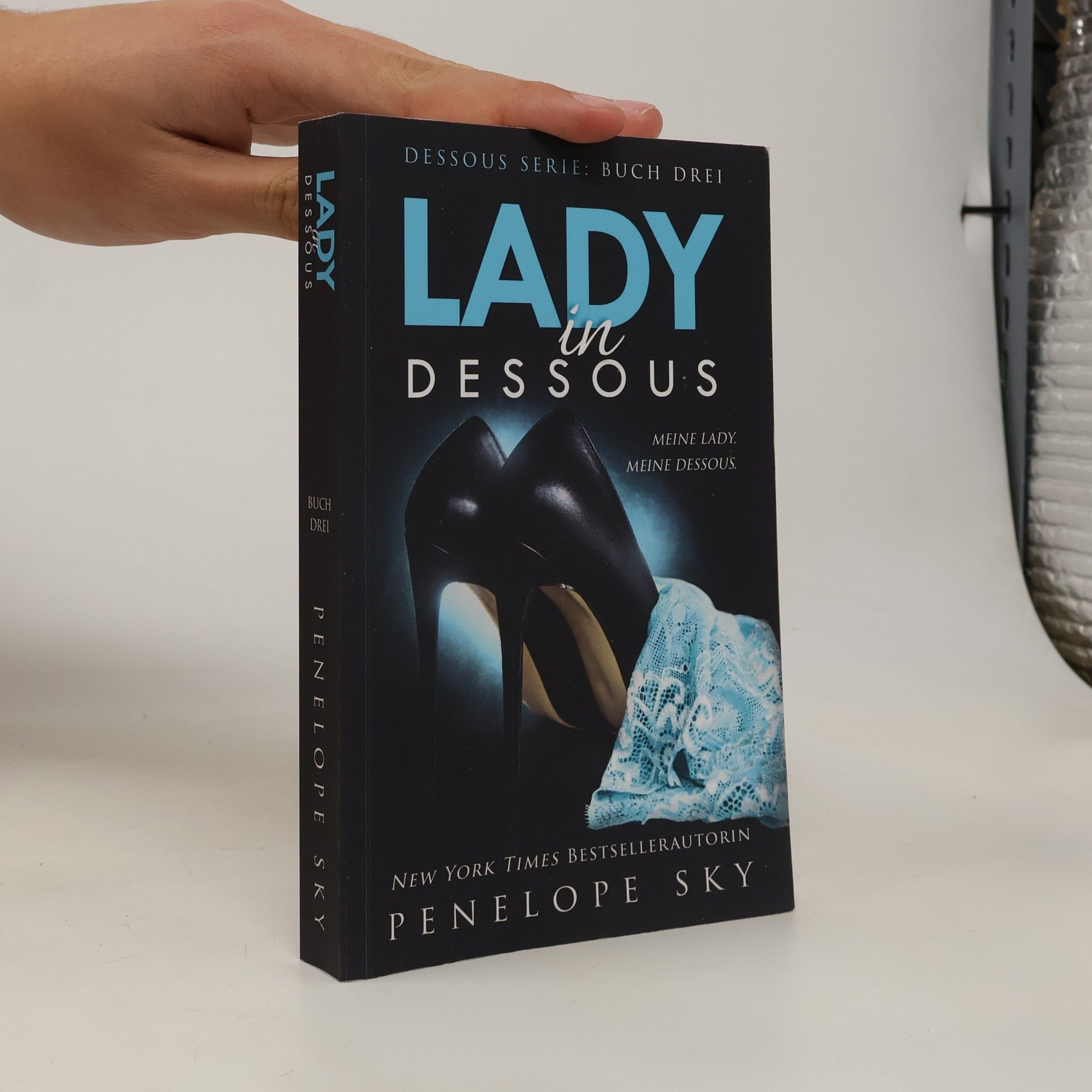 Penelope Sky Dessous Serie - 3: Lady in Dessous