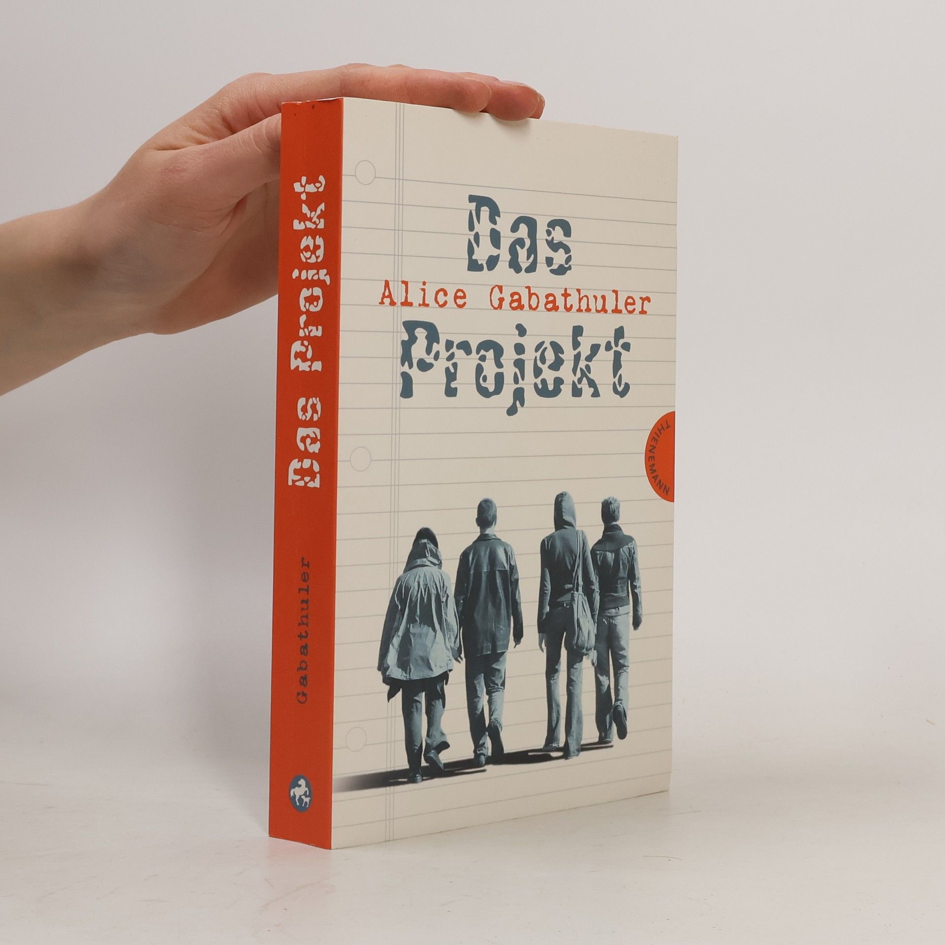 Alice Gabathuler Das Projekt
