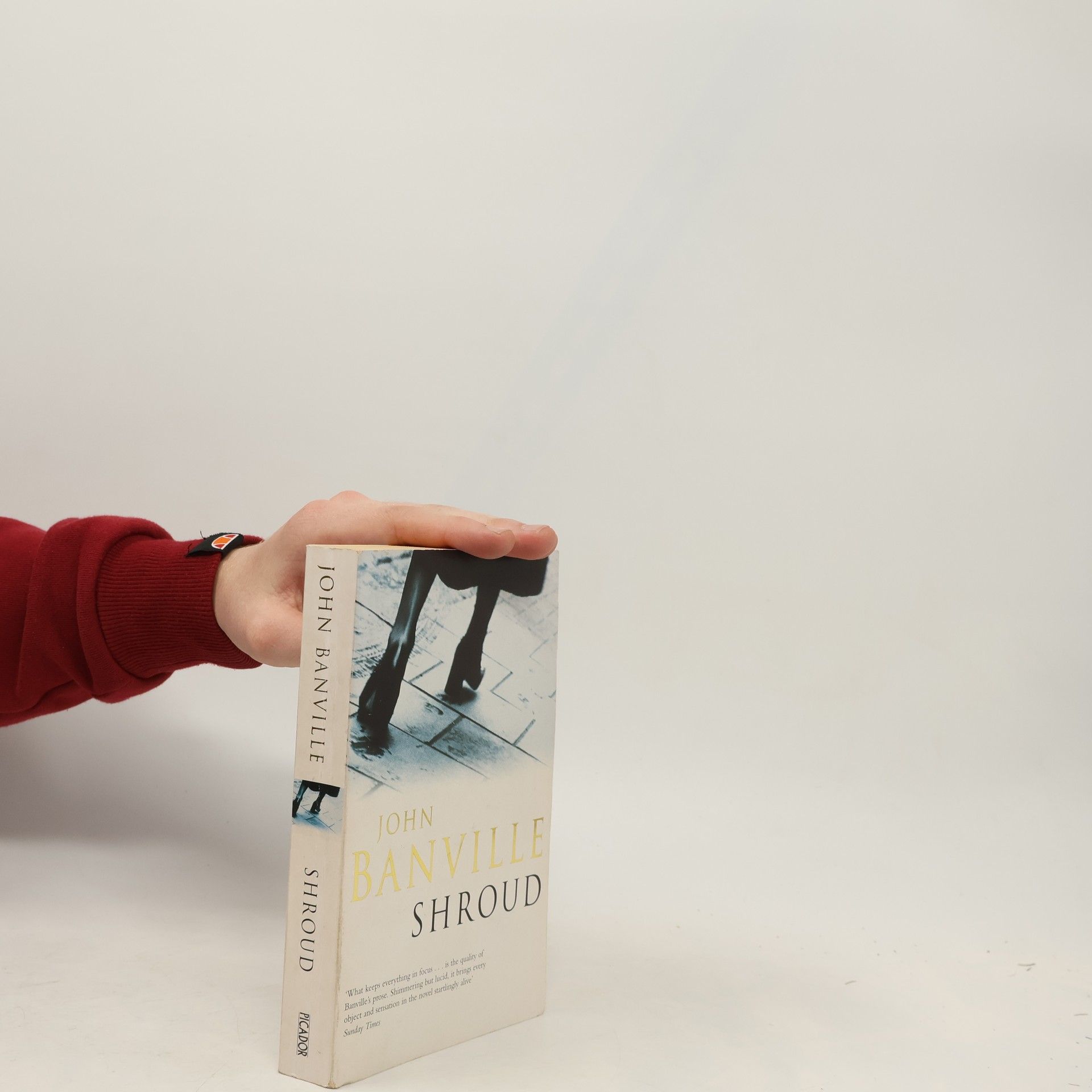 John Banville Shroud
