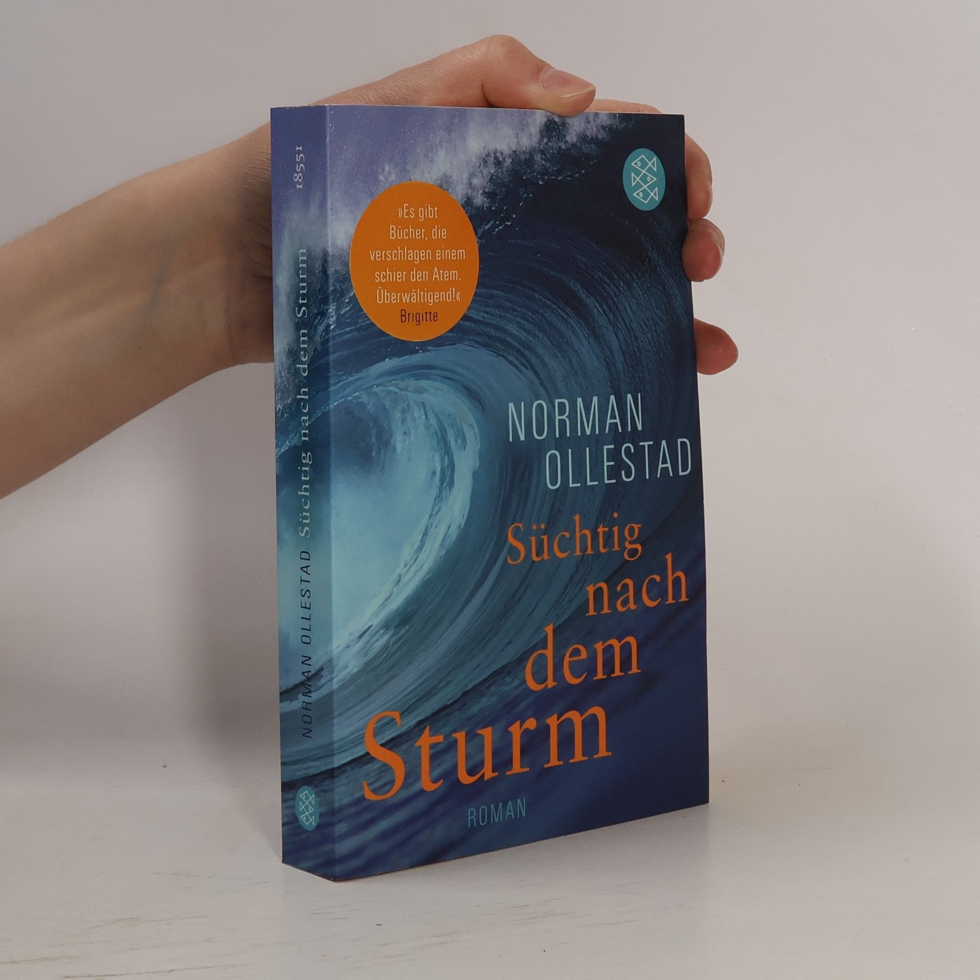 Norman Ollestad Süchtig nach dem Sturm