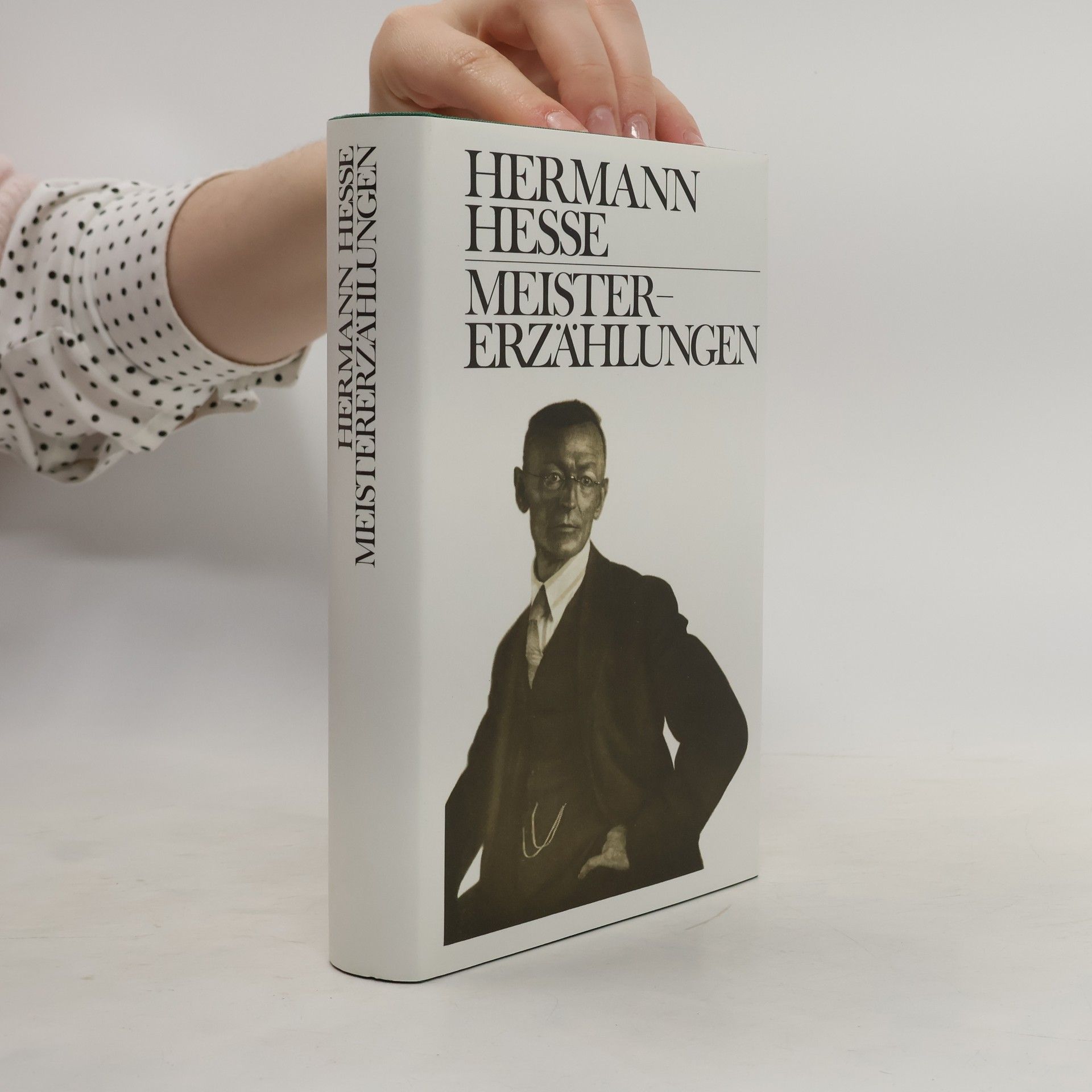 Hermann Hesse Meistererzählungen