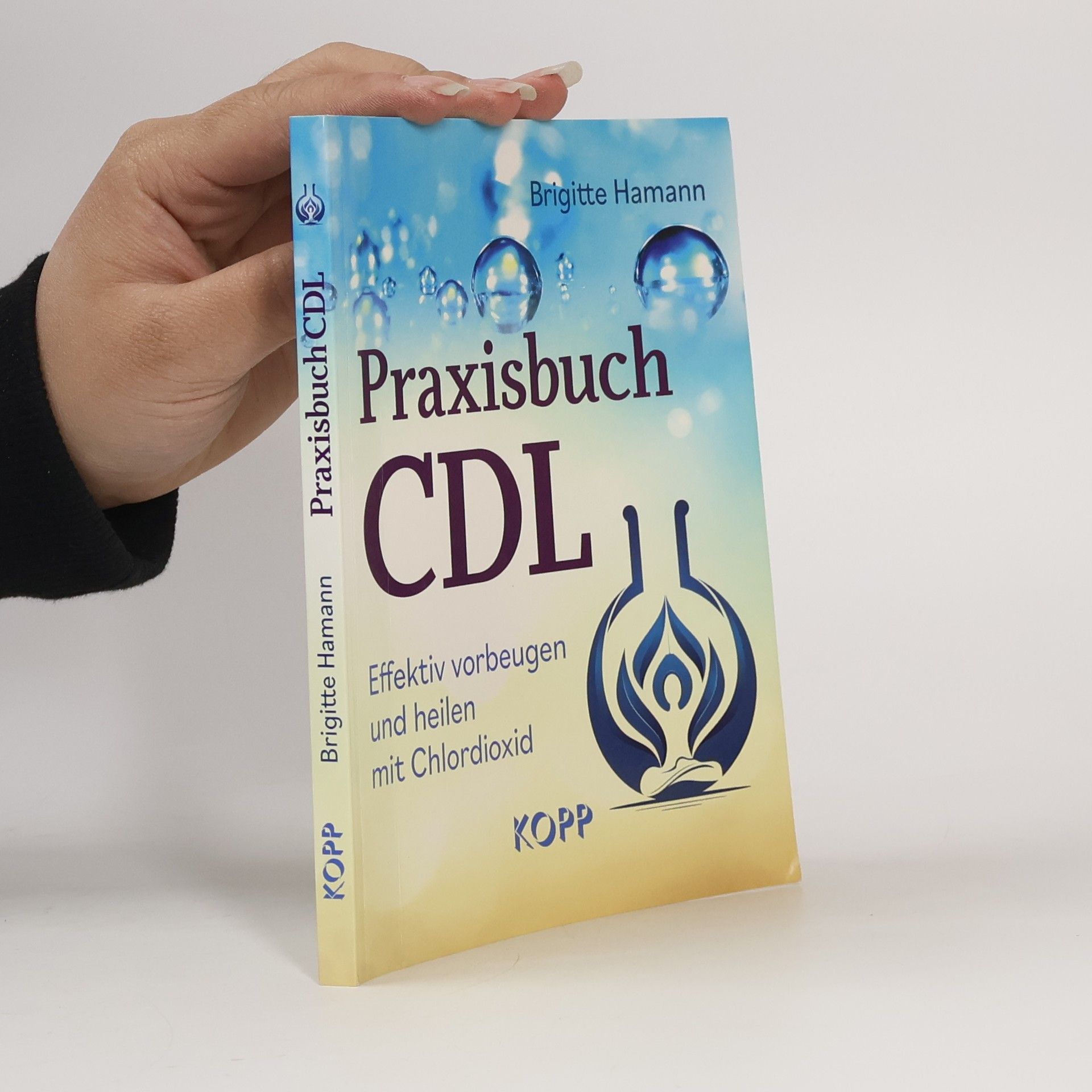 Brigitte Hamann Praxisbuch CDL