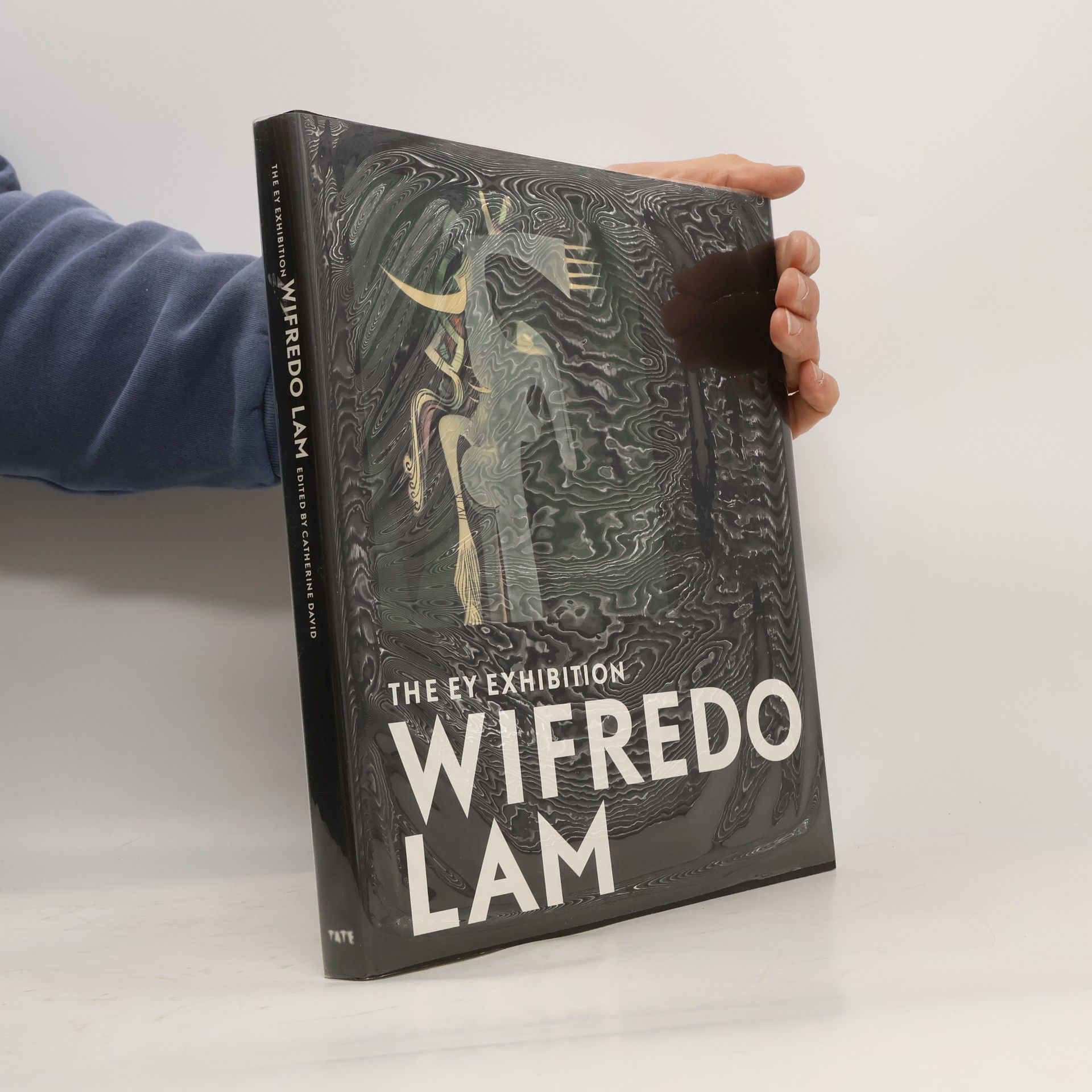 Wifredo Lam The EY Exhibition