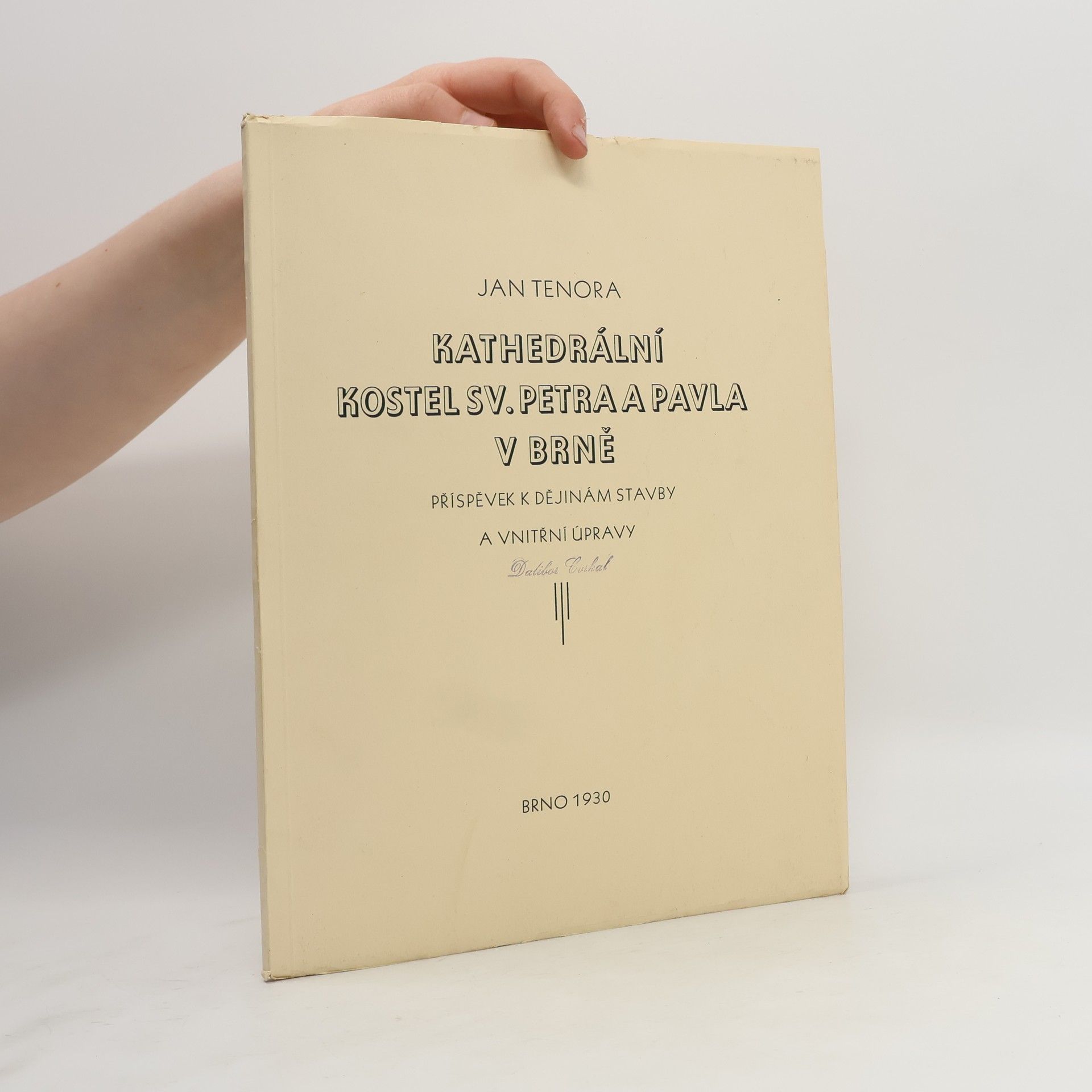Kathedrální kostel sv. Petra a Pavla v Brně