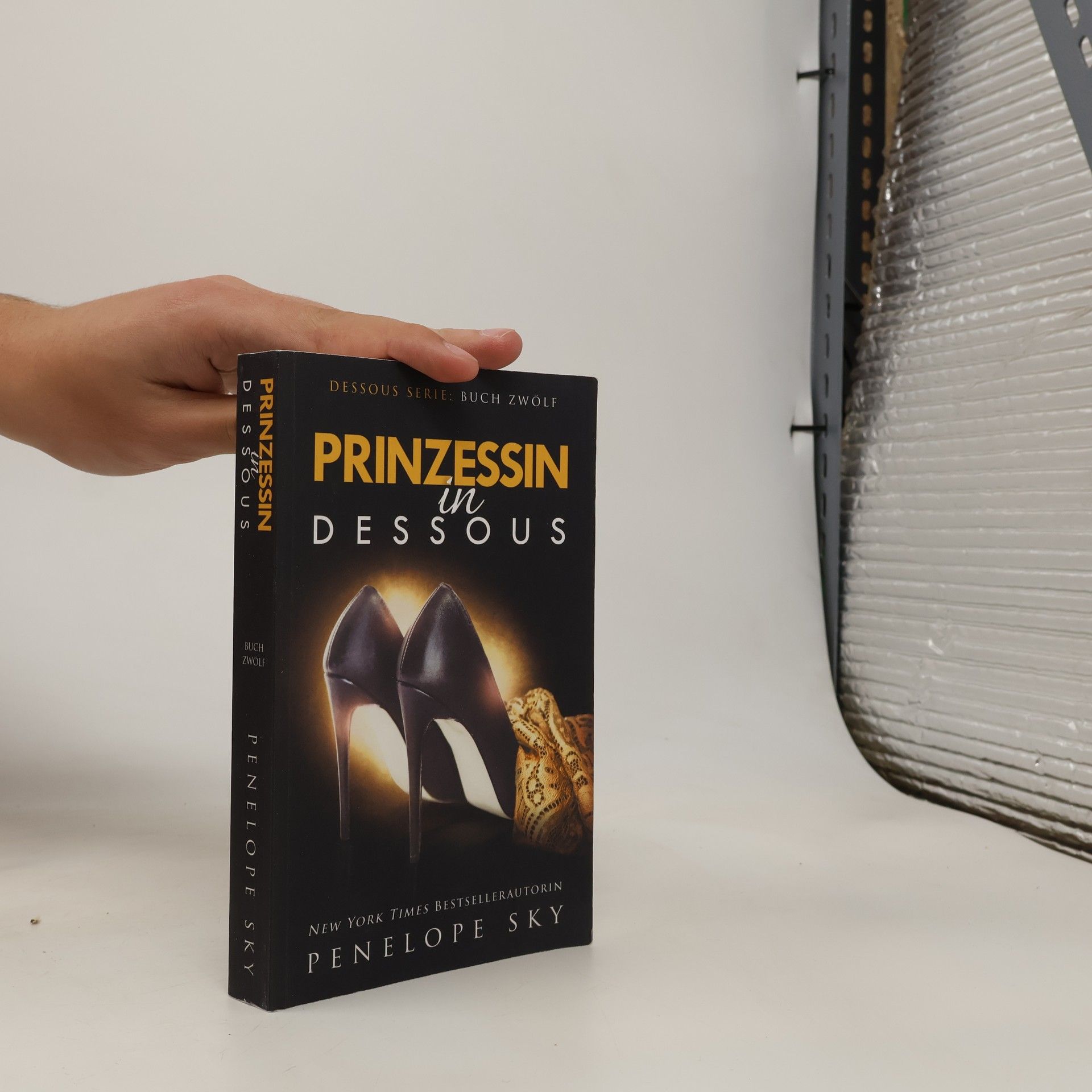 Penelope Sky Dessous Serie - 12: Prinzessin in Dessous