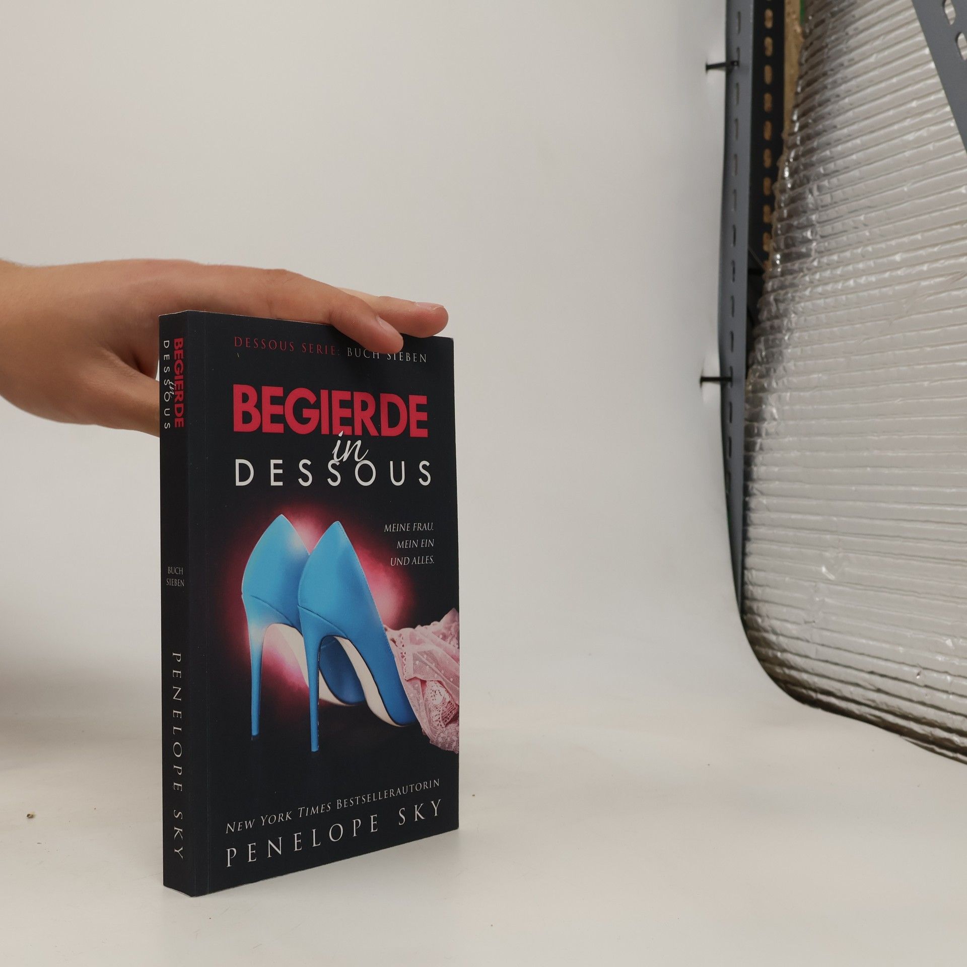 Penelope Sky Begierde in Dessous