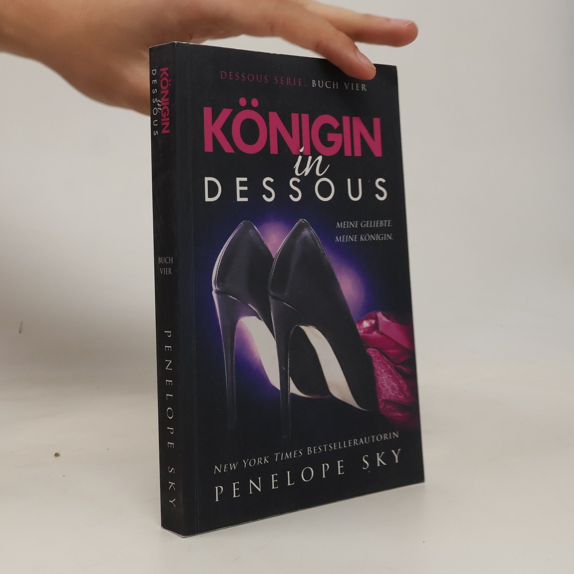 Penelope Sky Dessous Serie - 4: Königin in Dessous