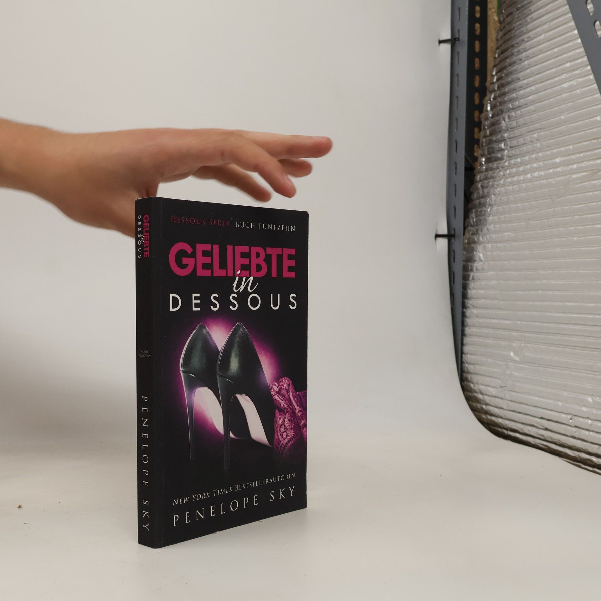 Penelope Sky Dessous Serie - 15: Geliebte in Dessous