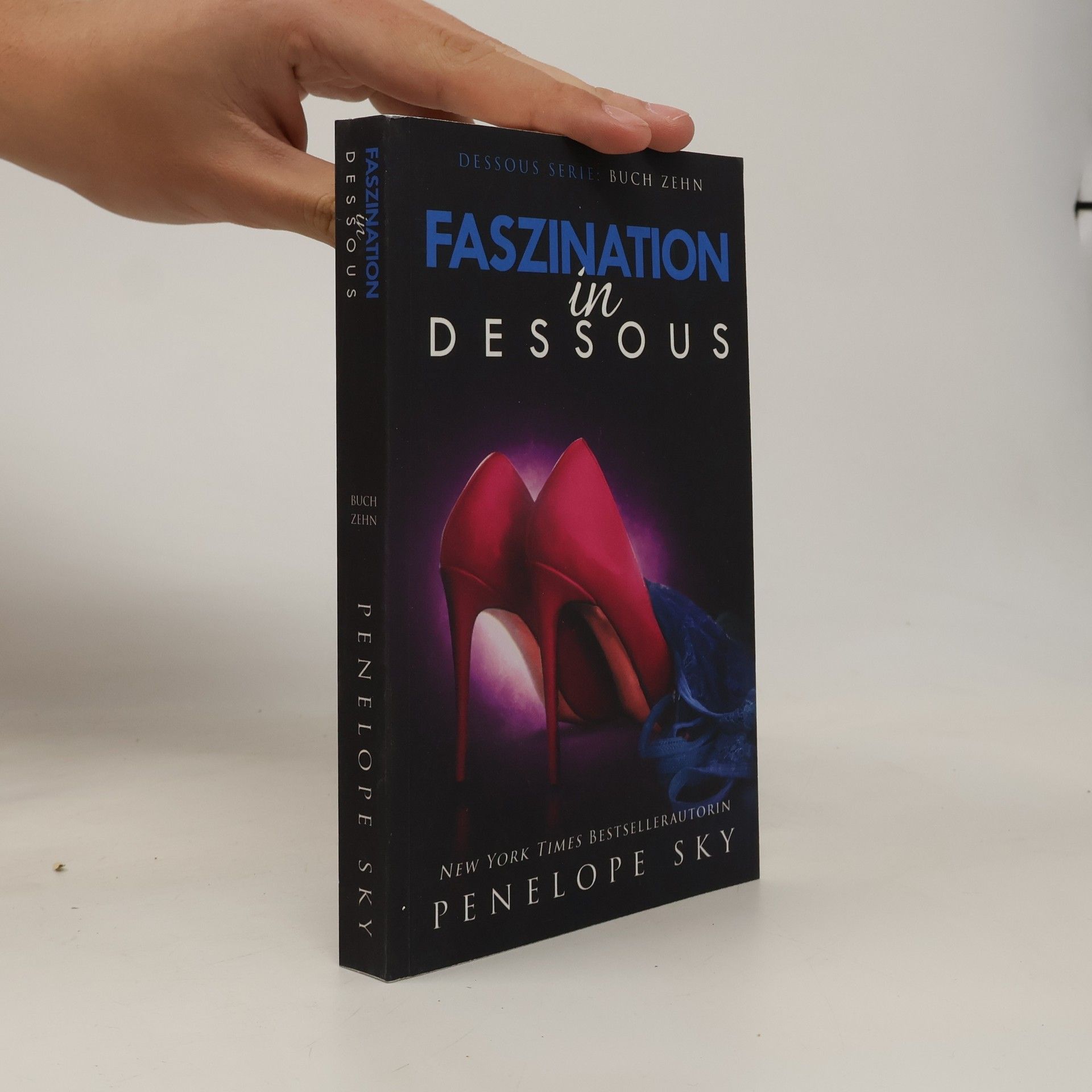Penelope Sky Dessous Serie - 10: Faszination in Dessous