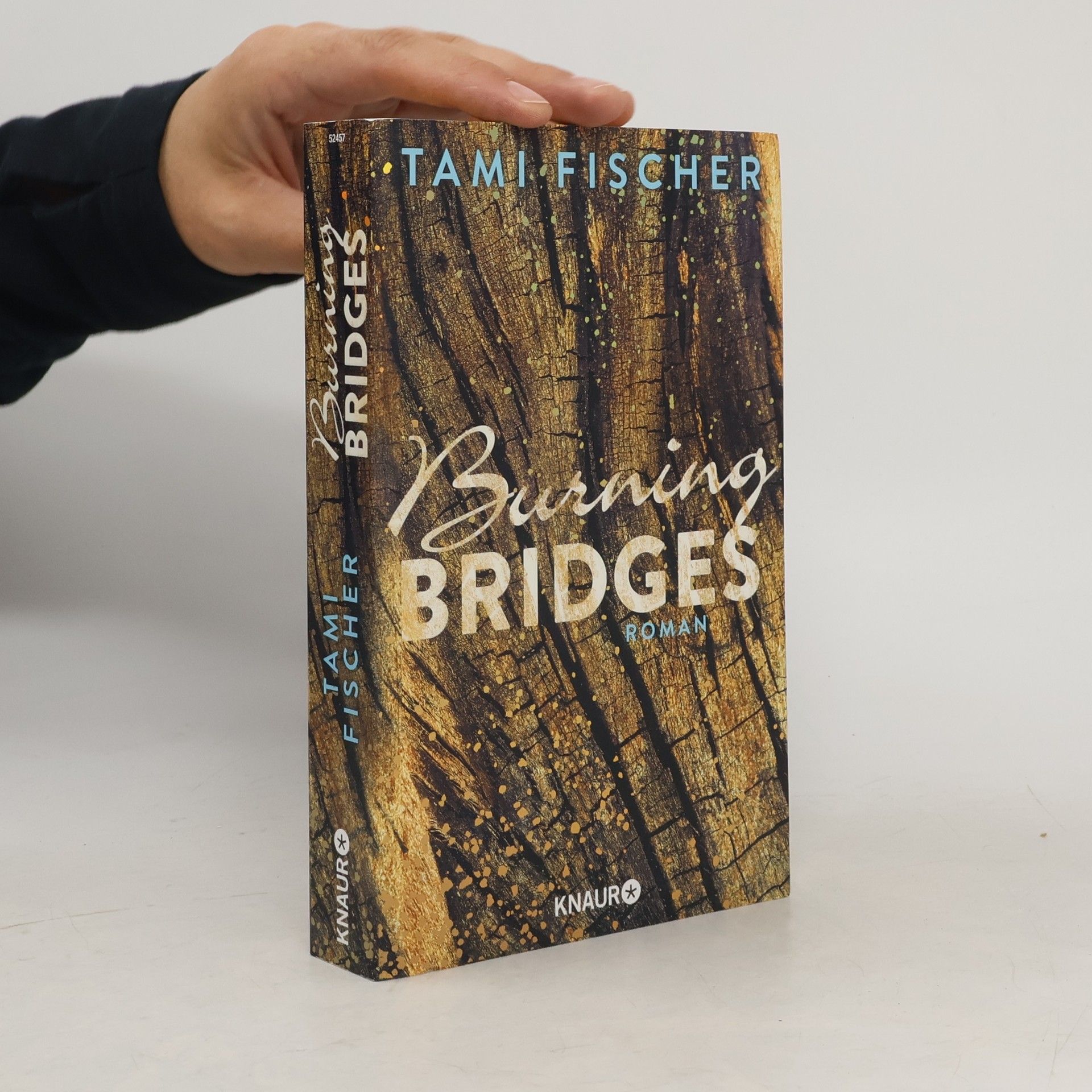 Tami Fischer Burning bridges