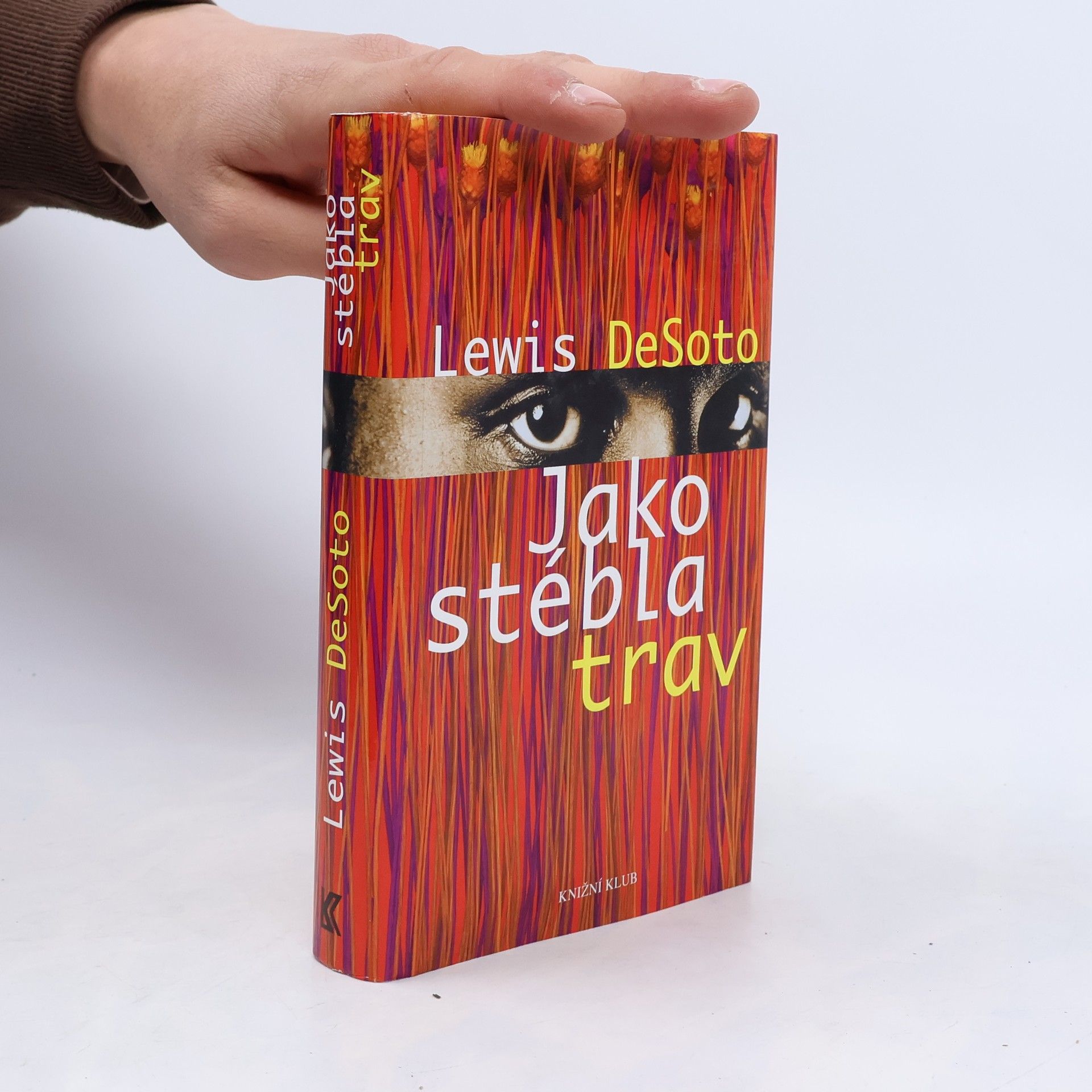 Lewis DeSoto Jako stébla trav