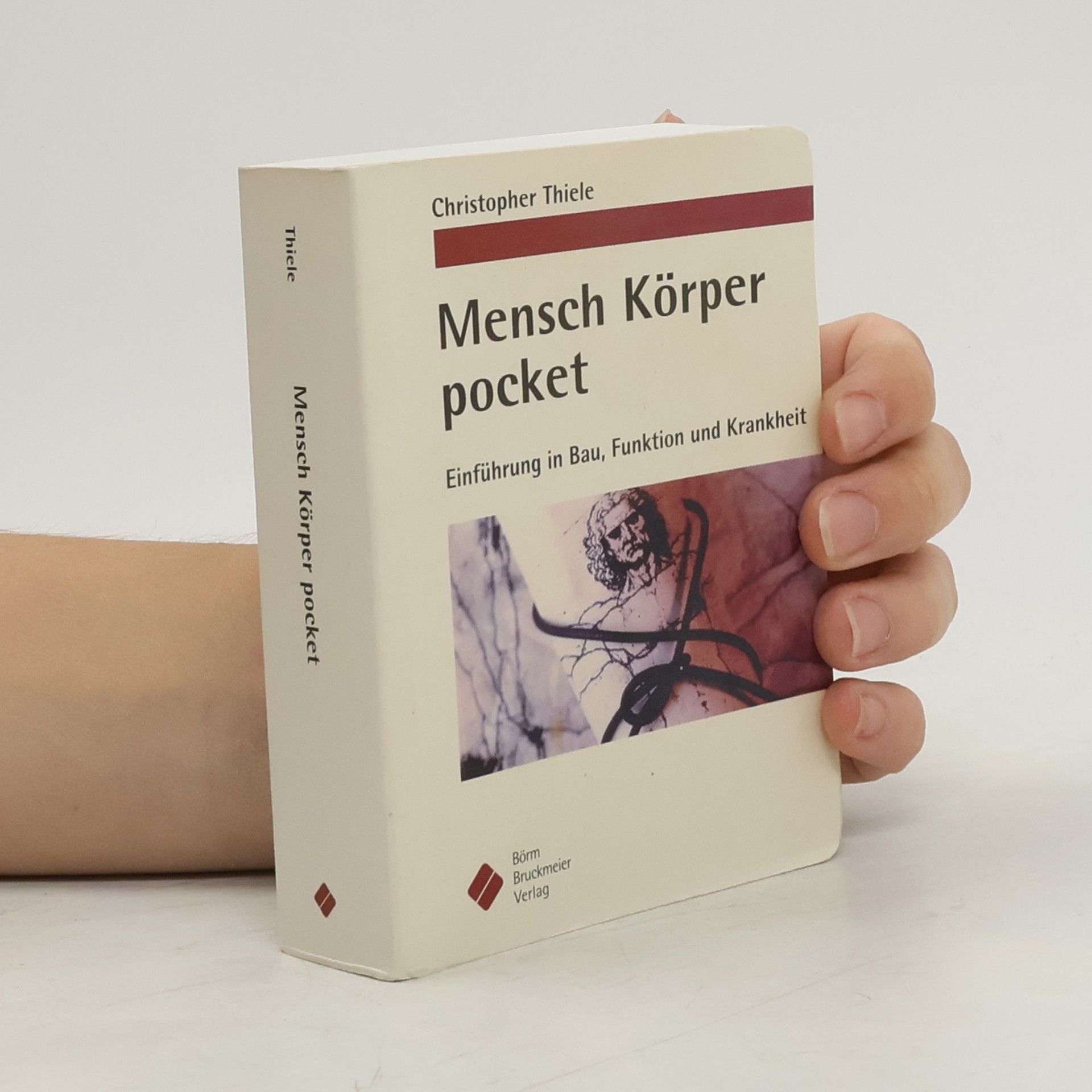 Mensch, Körper pocket
