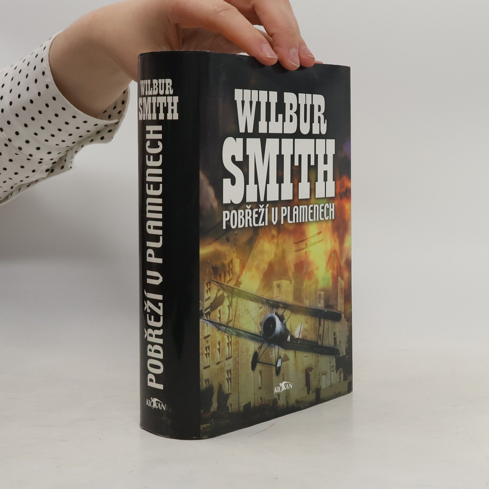 Wilbur A. Smith Pobřeží v plamenech