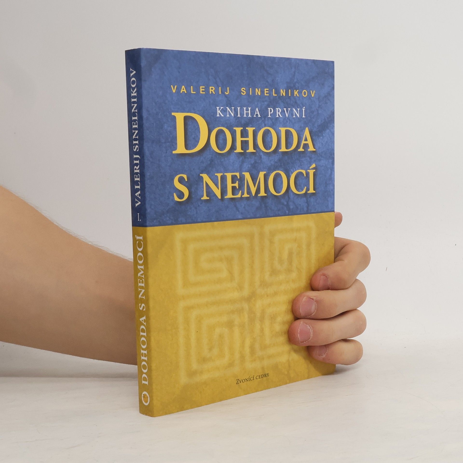 Valerij Vladimirovič Sinel‘nikov Dohoda s nemocí. Kniha první