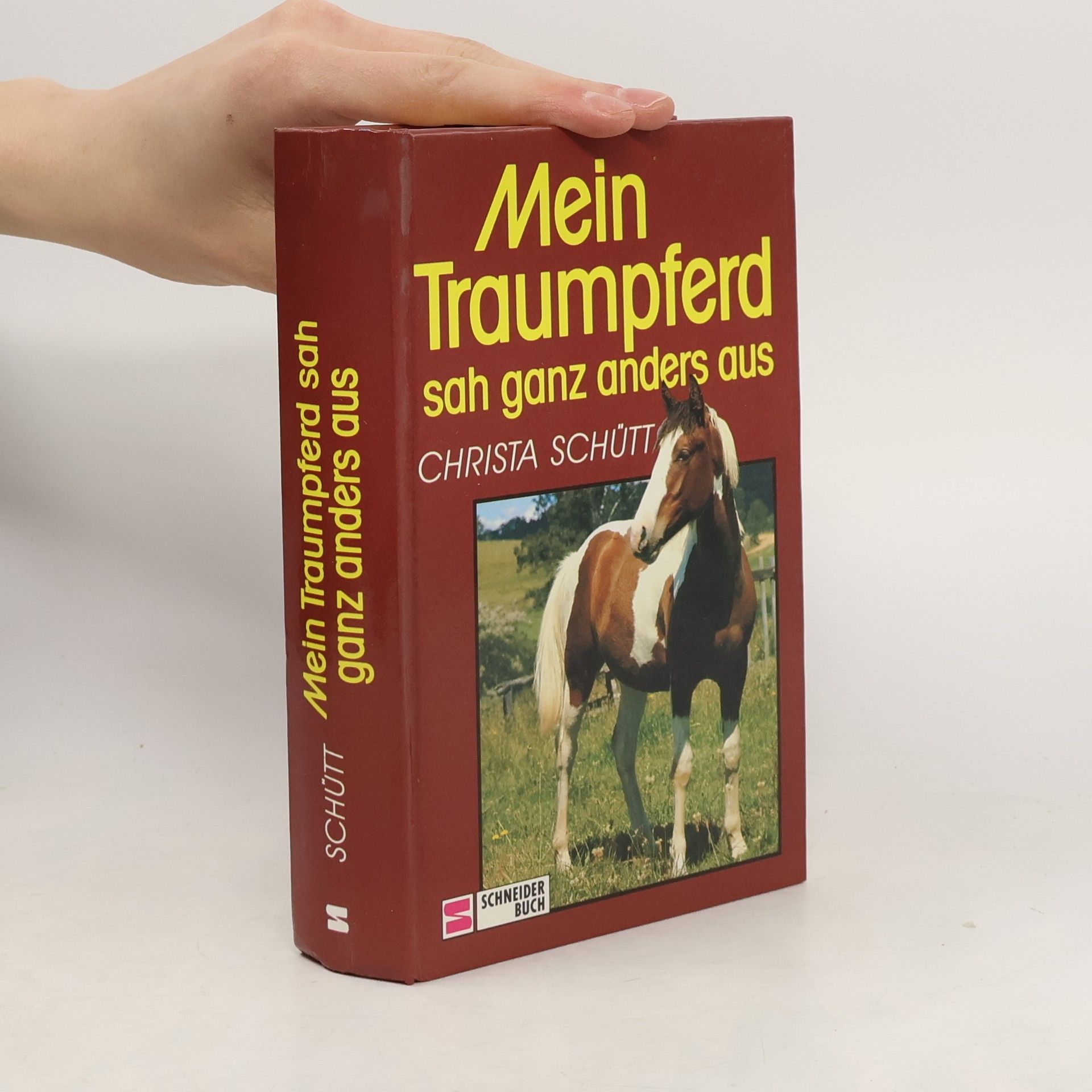 Christa Schütt Mein Traumpferd sah ganz anders aus