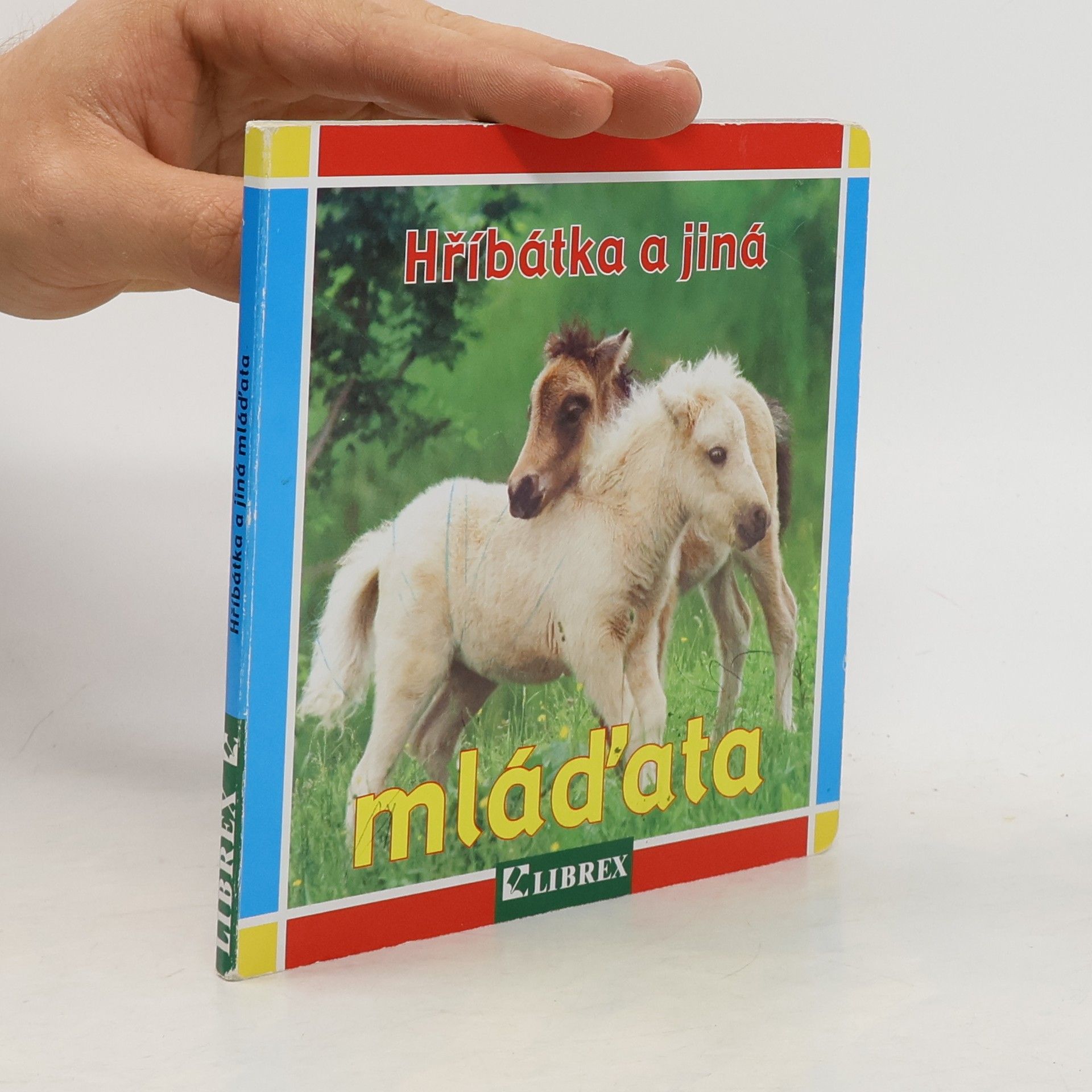 Kolektiv autorů Hříbátka a jiná mláďata