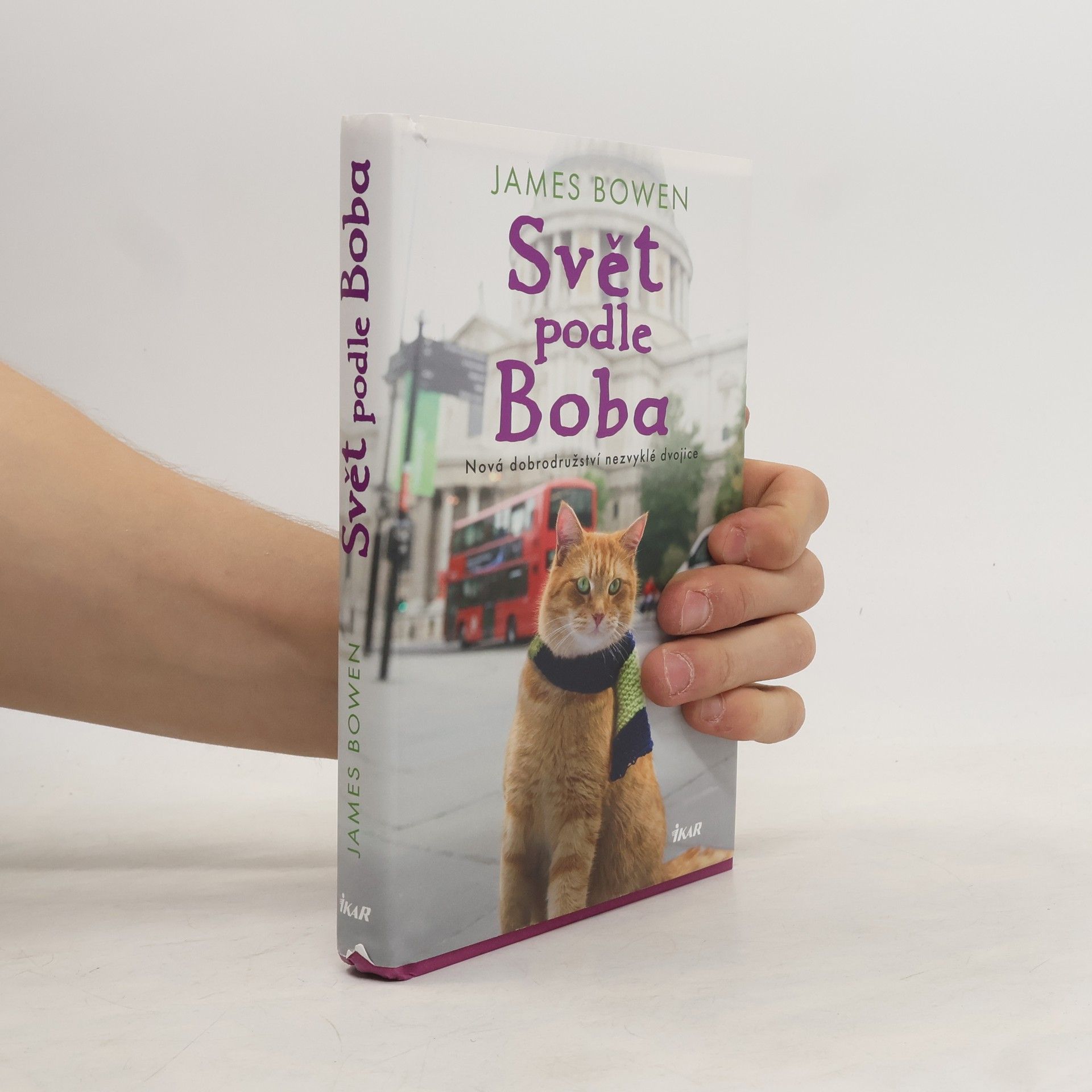 James Bowen Svět podle Boba
