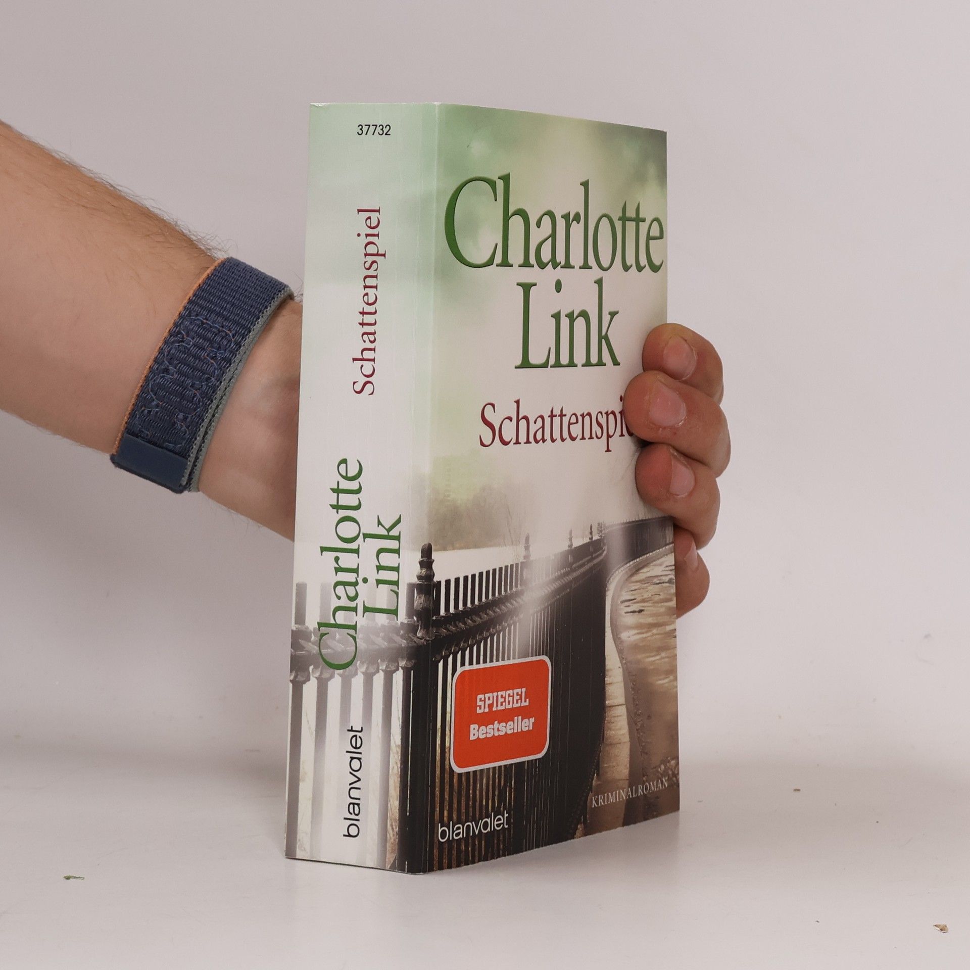 Charlotte Link Schattenspiel