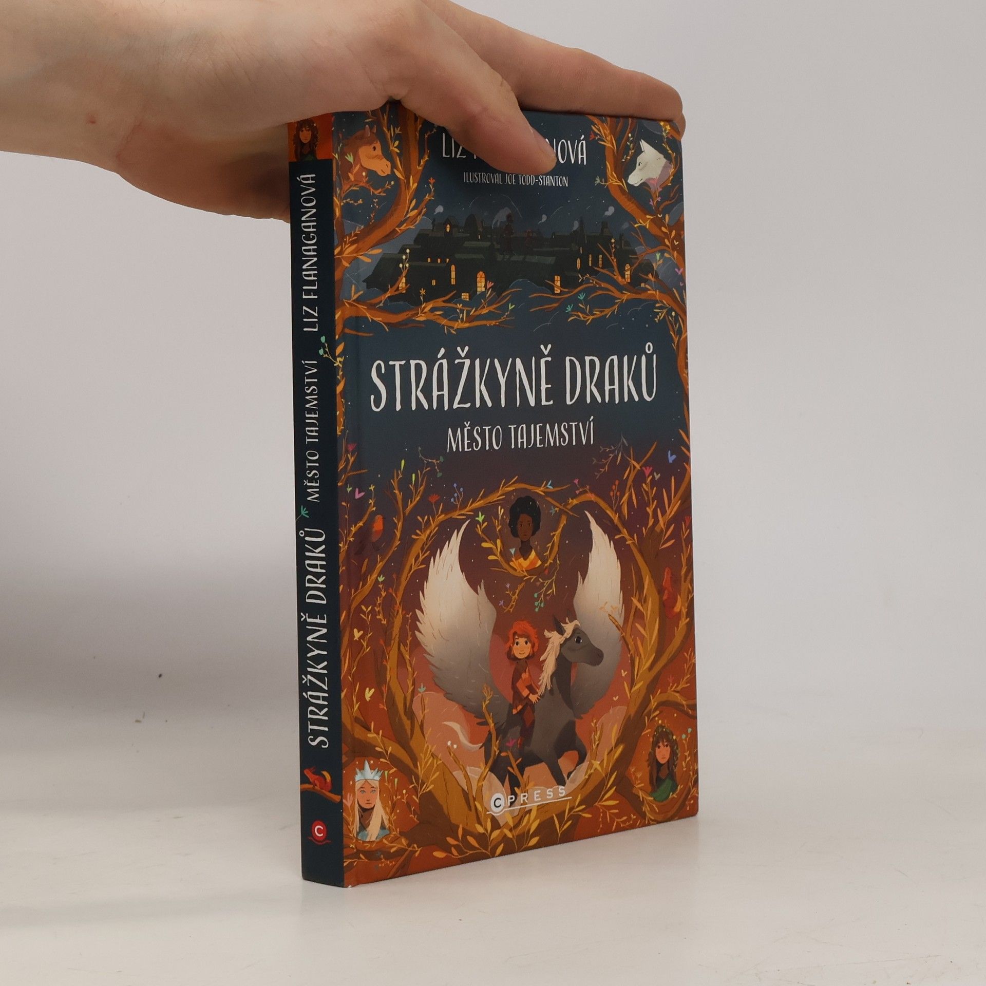 Liz Flanagan Strážkyně draků. Město tajemství