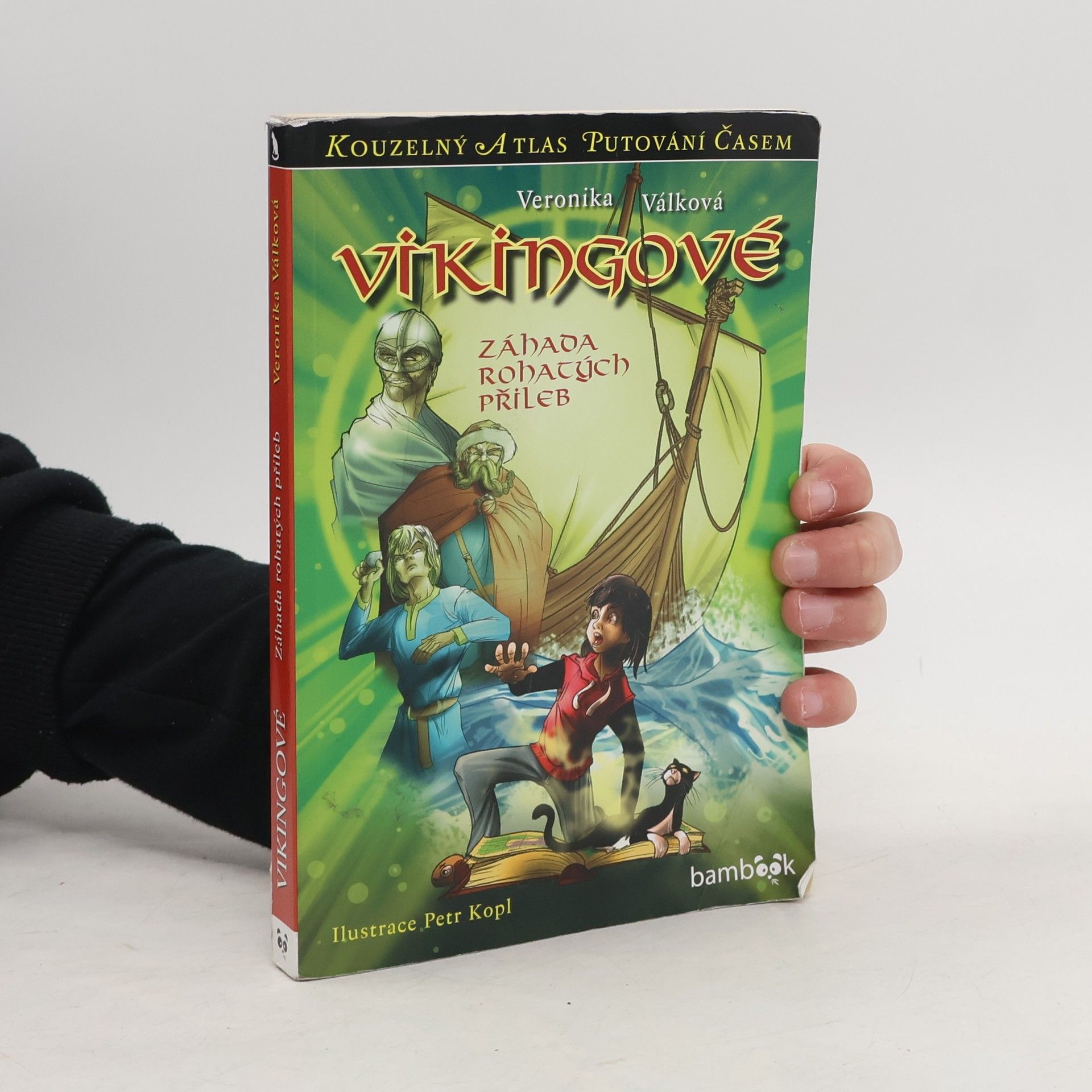 Petr Kopl Vikingové : záhada rohatých přileb