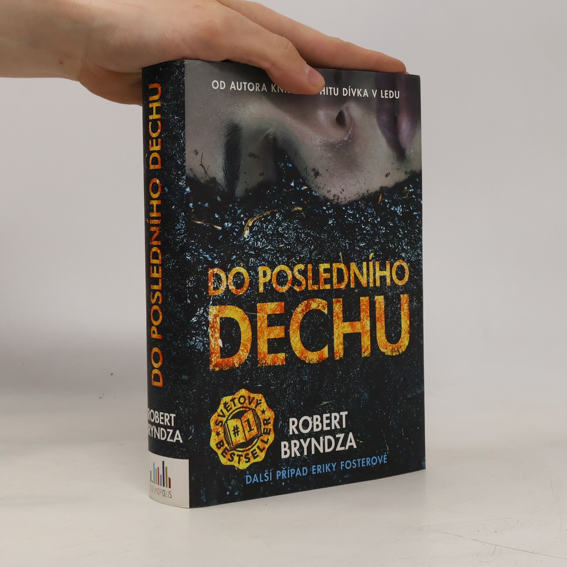 Robert Bryndza Do posledního dechu