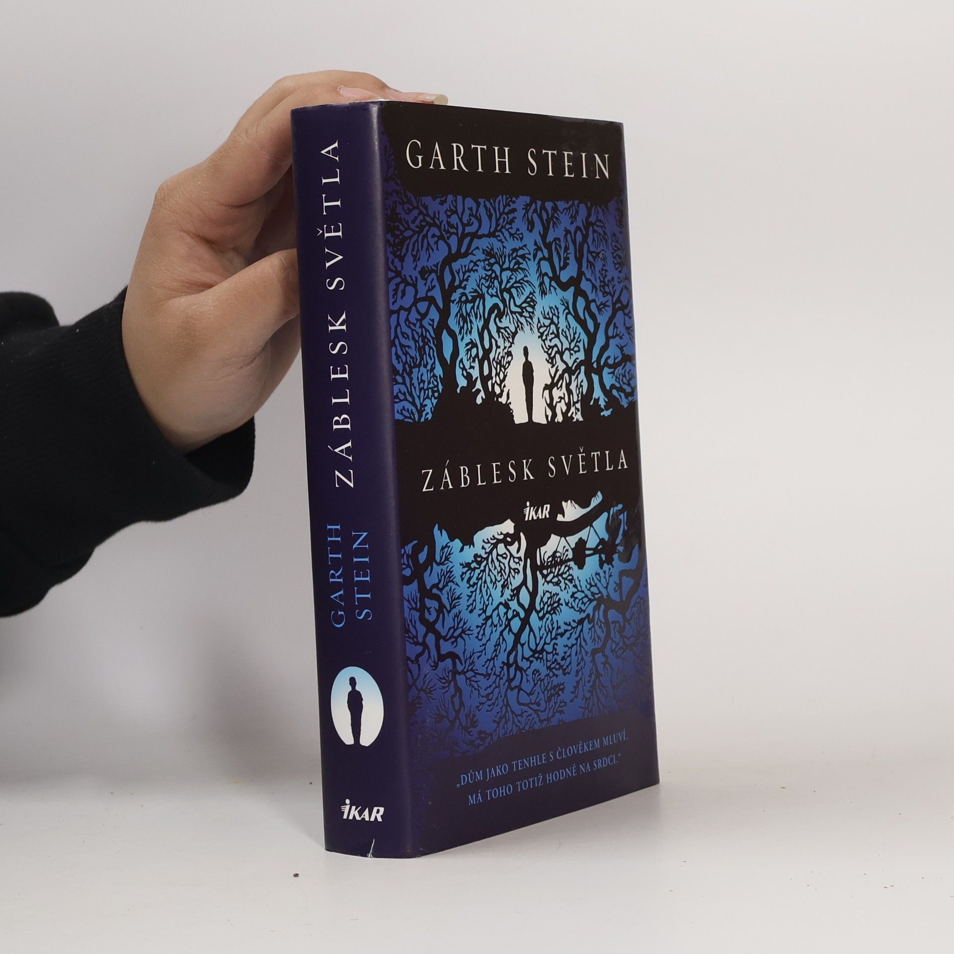 Garth Stein Záblesk světla