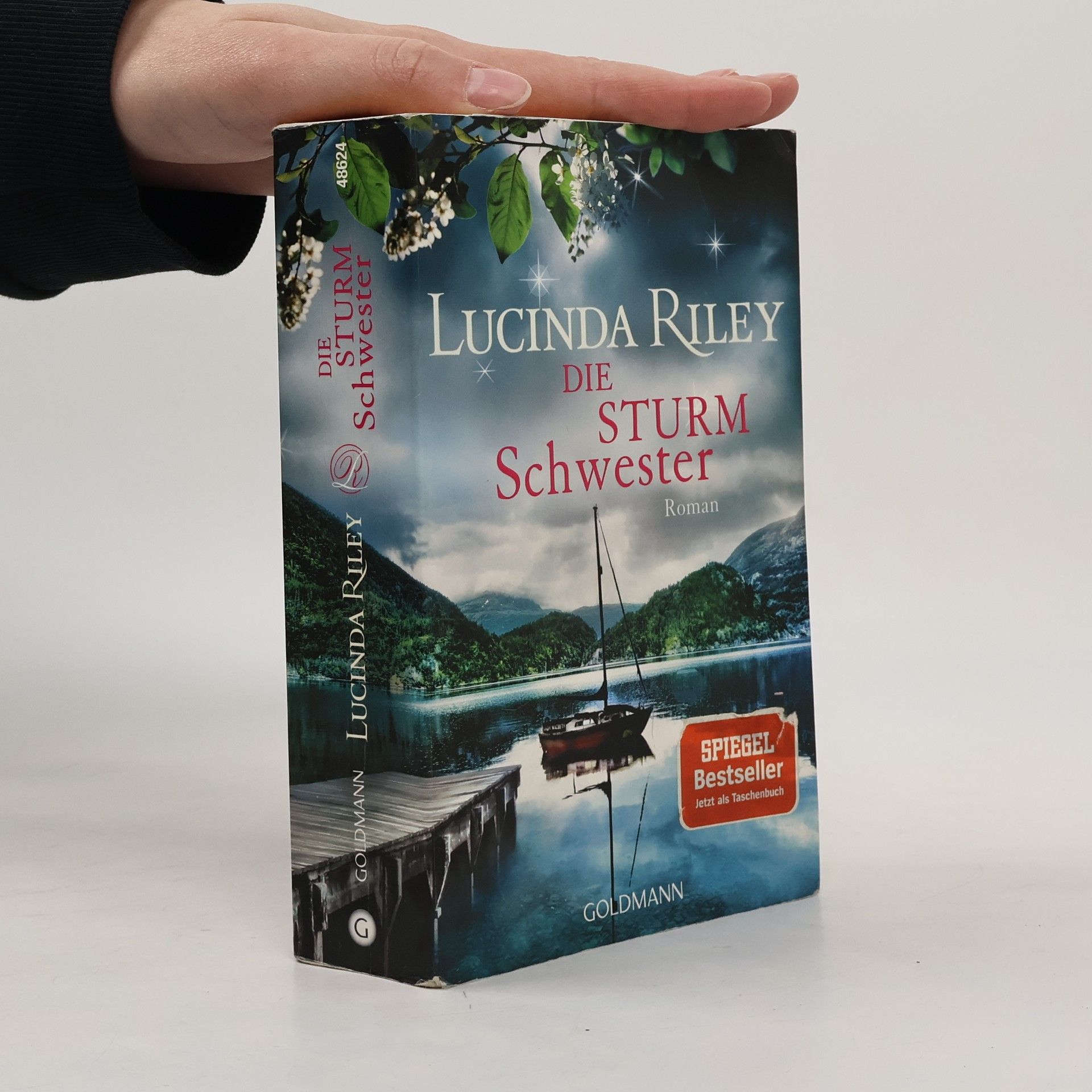 Lucinda Riley Die Sturmschwester
