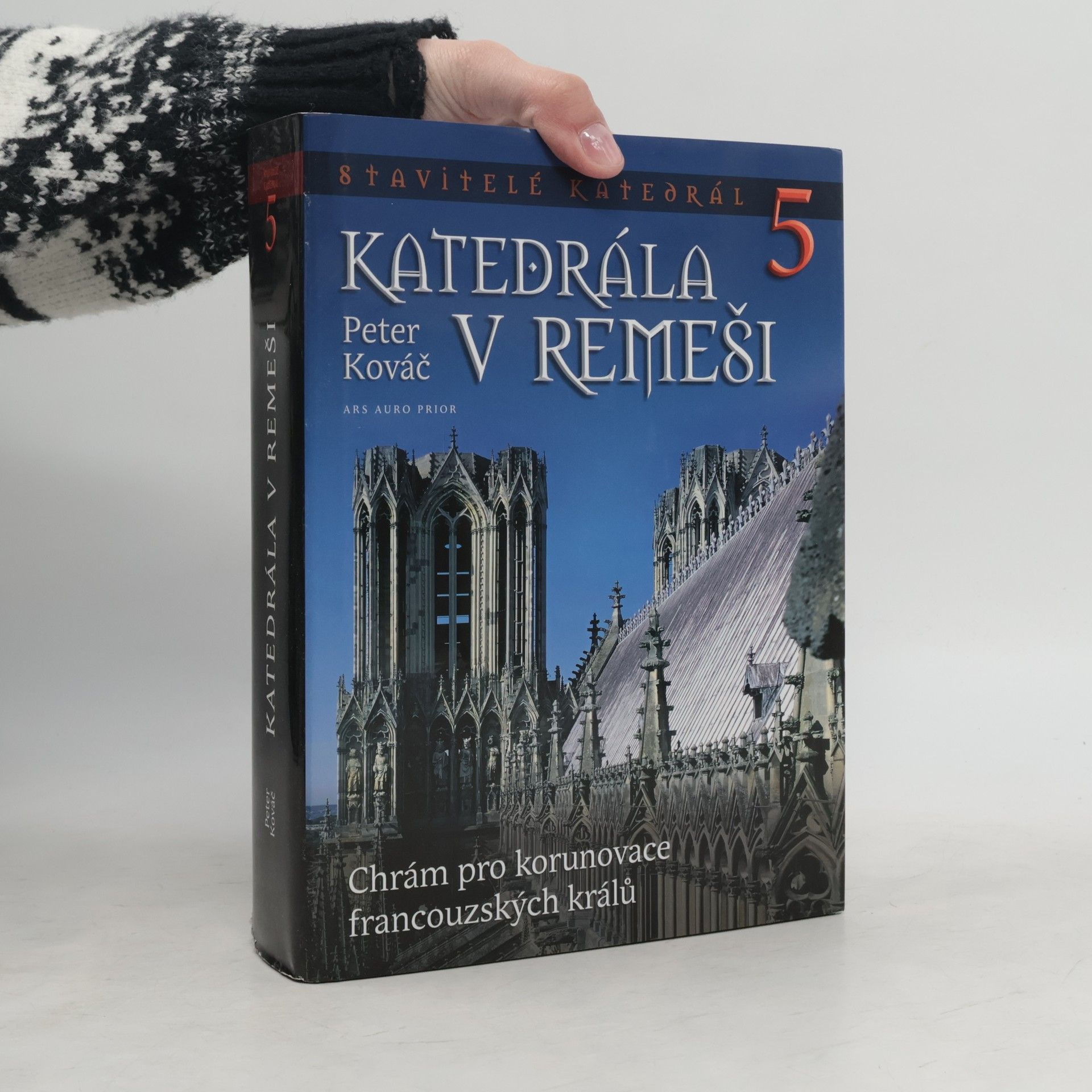 Katedrála v Remeši