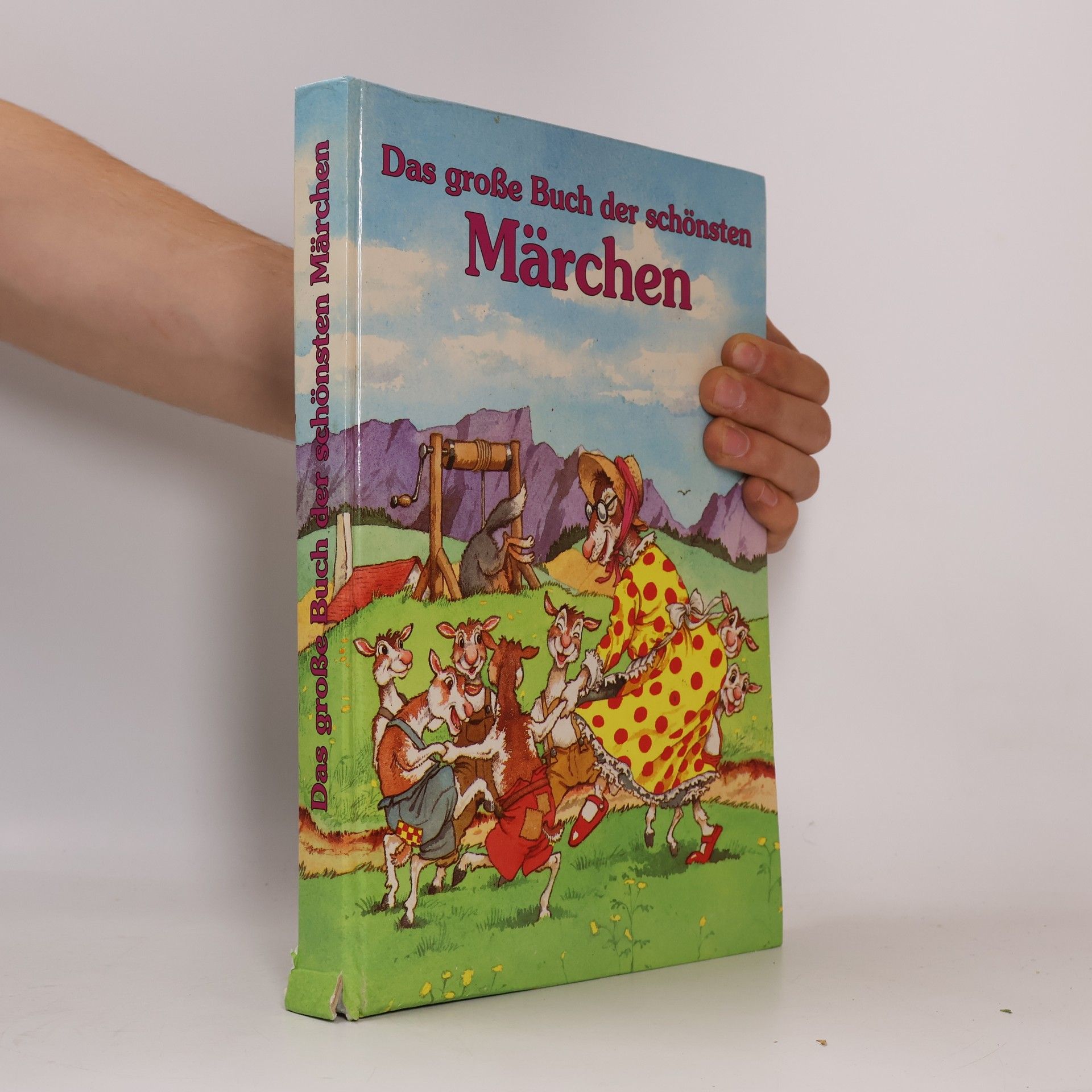 Das große Buch der schönsten Märchen
