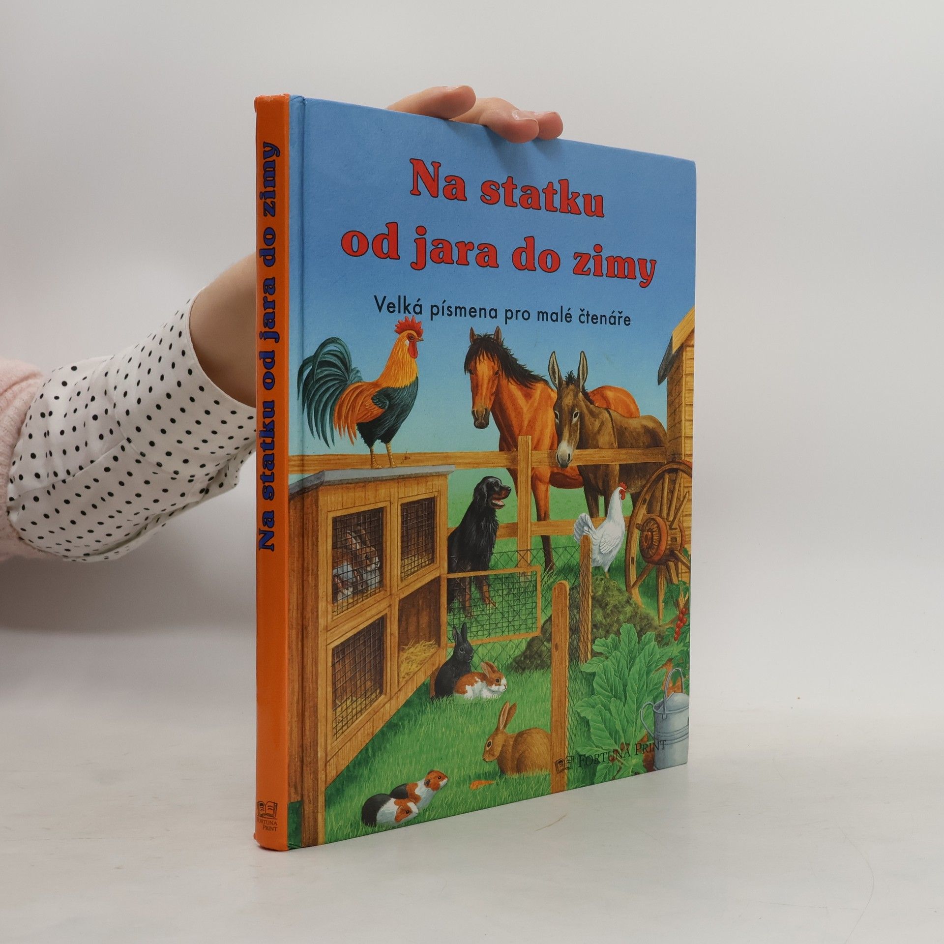 Gisela Fischer-Lingat Na statku od jara do zimy