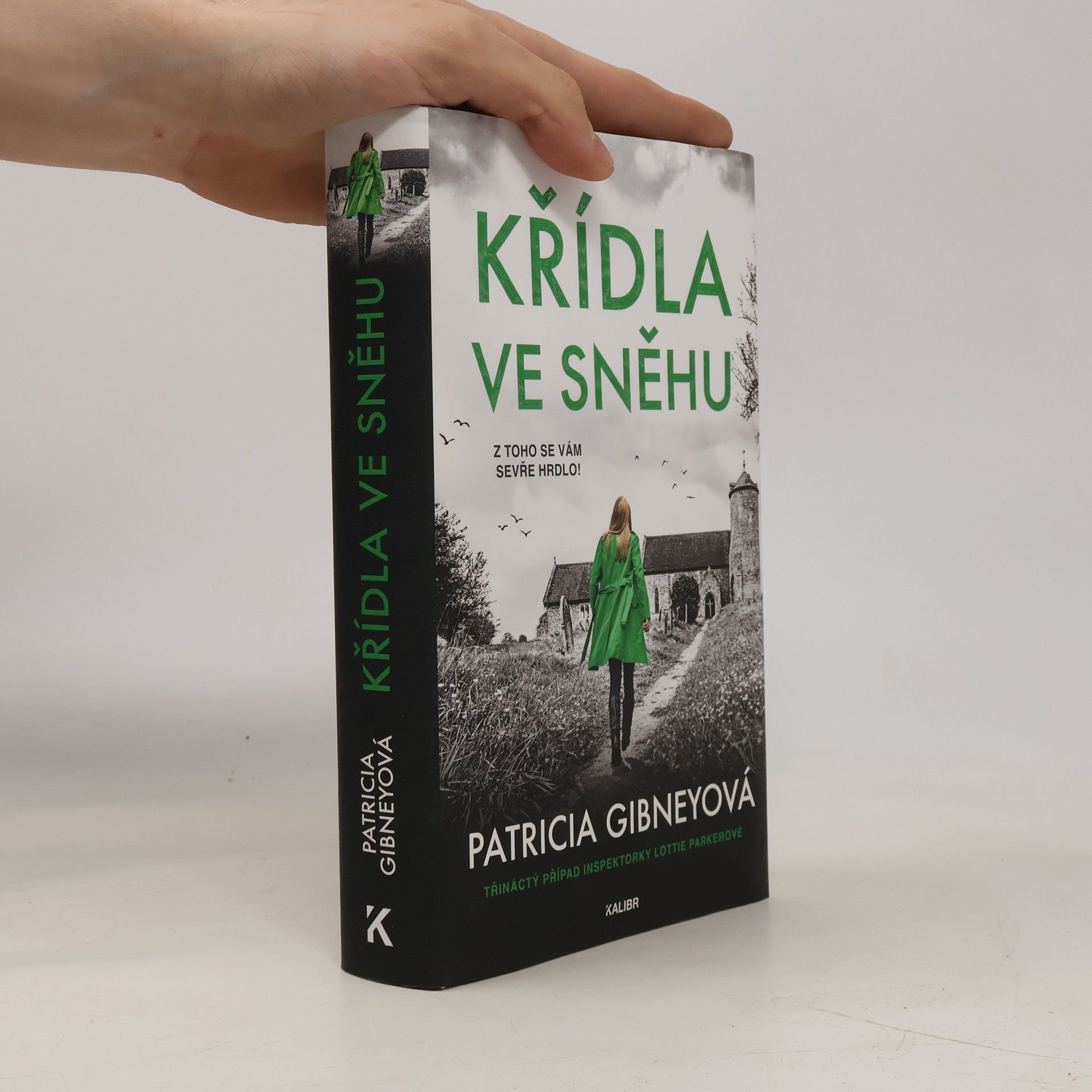 Patricia Gibney Křídla ve sněhu