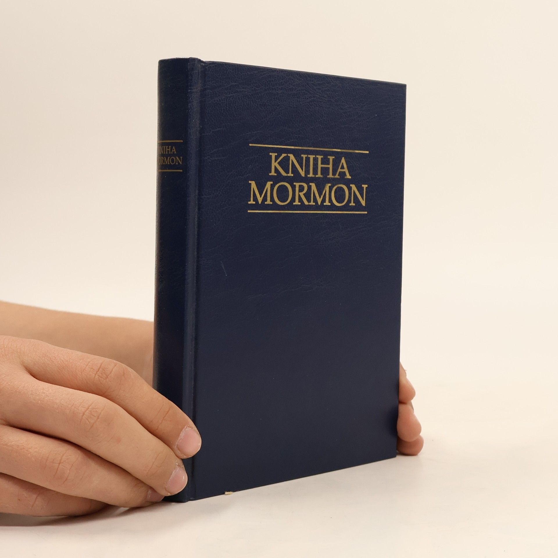 Kolektiv autorů Kniha Mormon