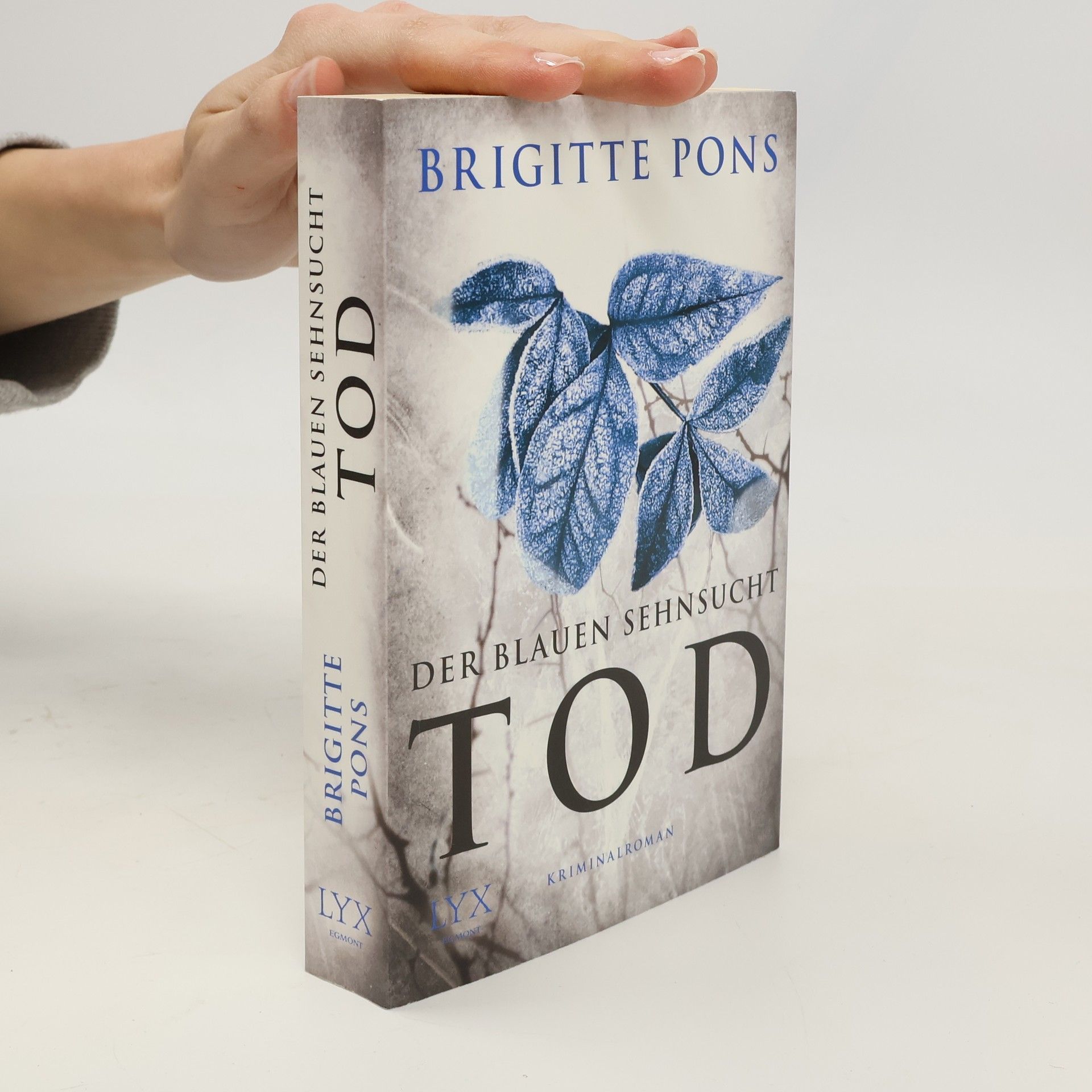 Brigitte Pons Der blauen Sehnsucht Tod