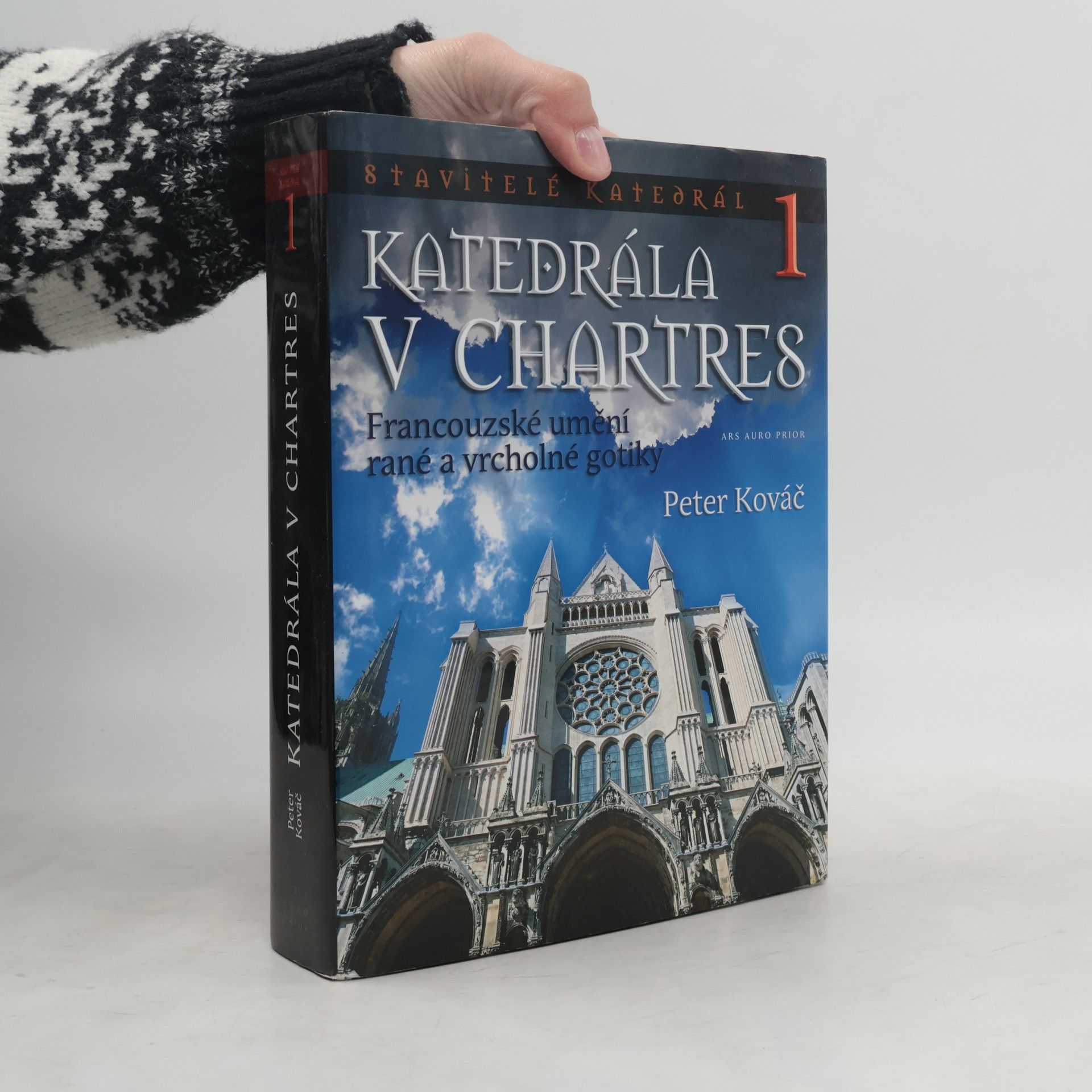 Peter Kováč Katedrála v Chartres