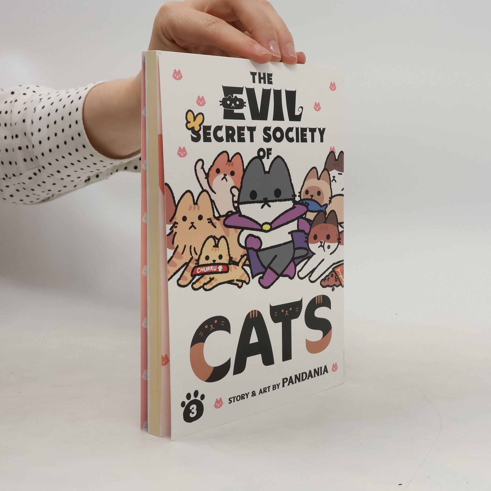 PANDANIA The Evil Secret Society of Cats Vol. 3