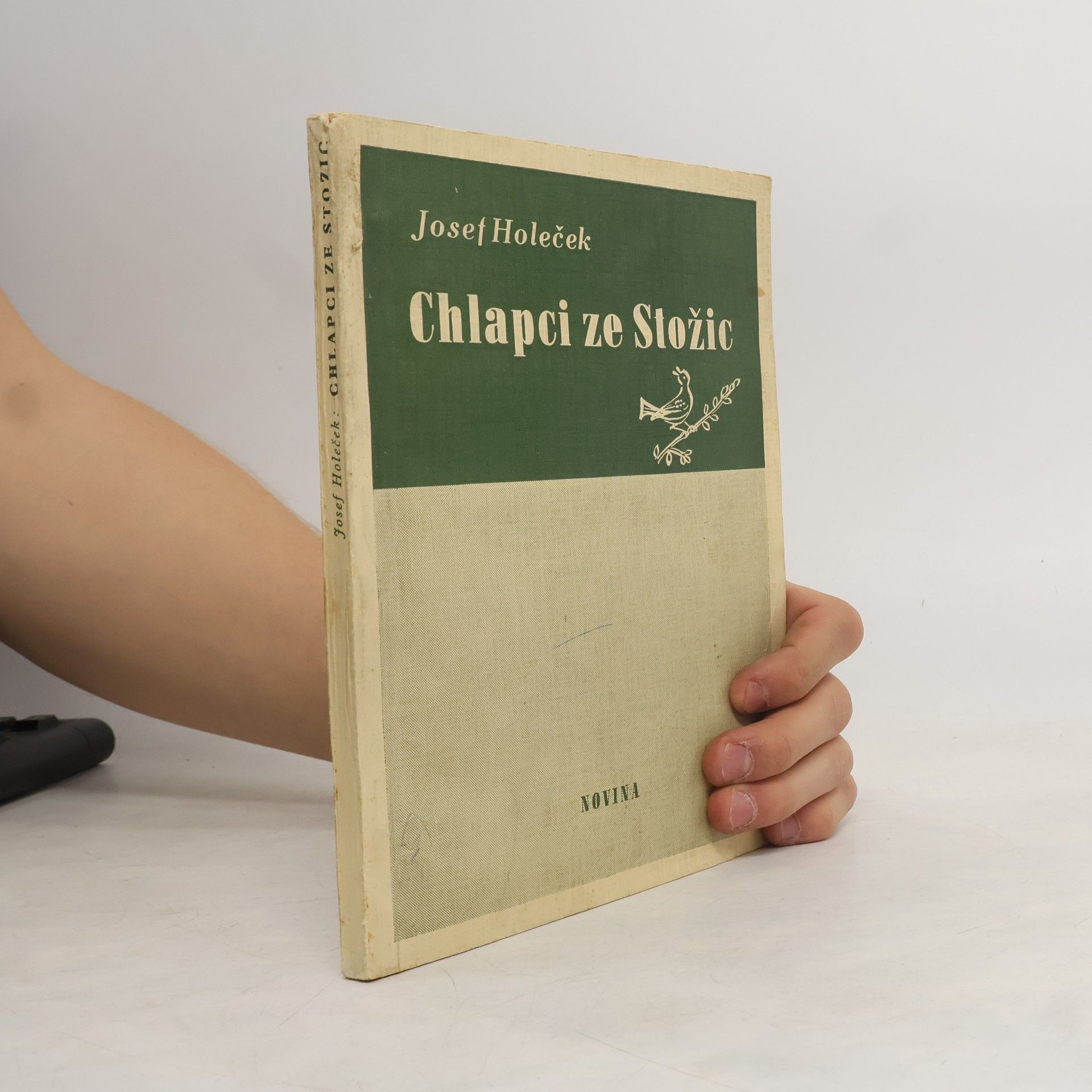Chlapci ze Stožic
