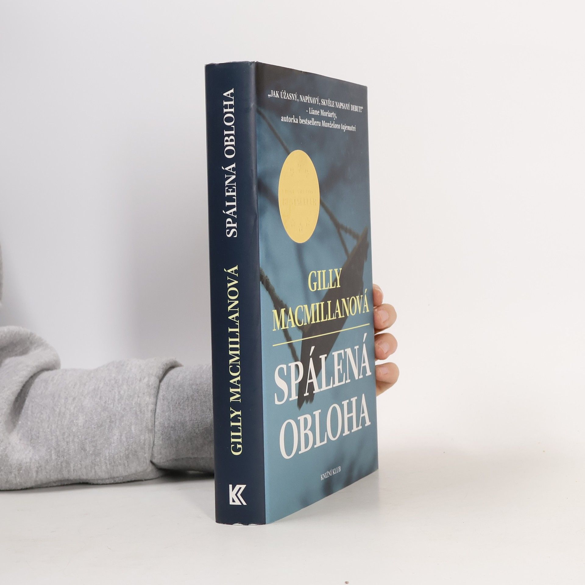 Gilly Macmillan Spálená obloha