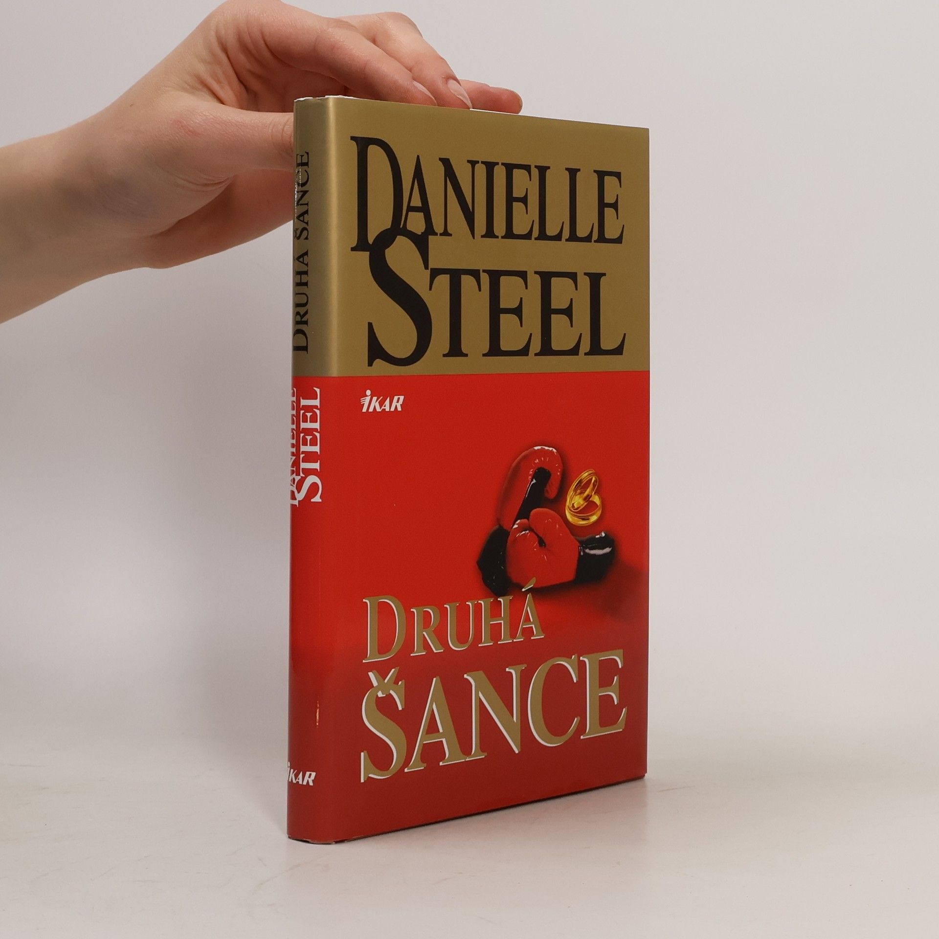 Danielle Steel Druhá šance