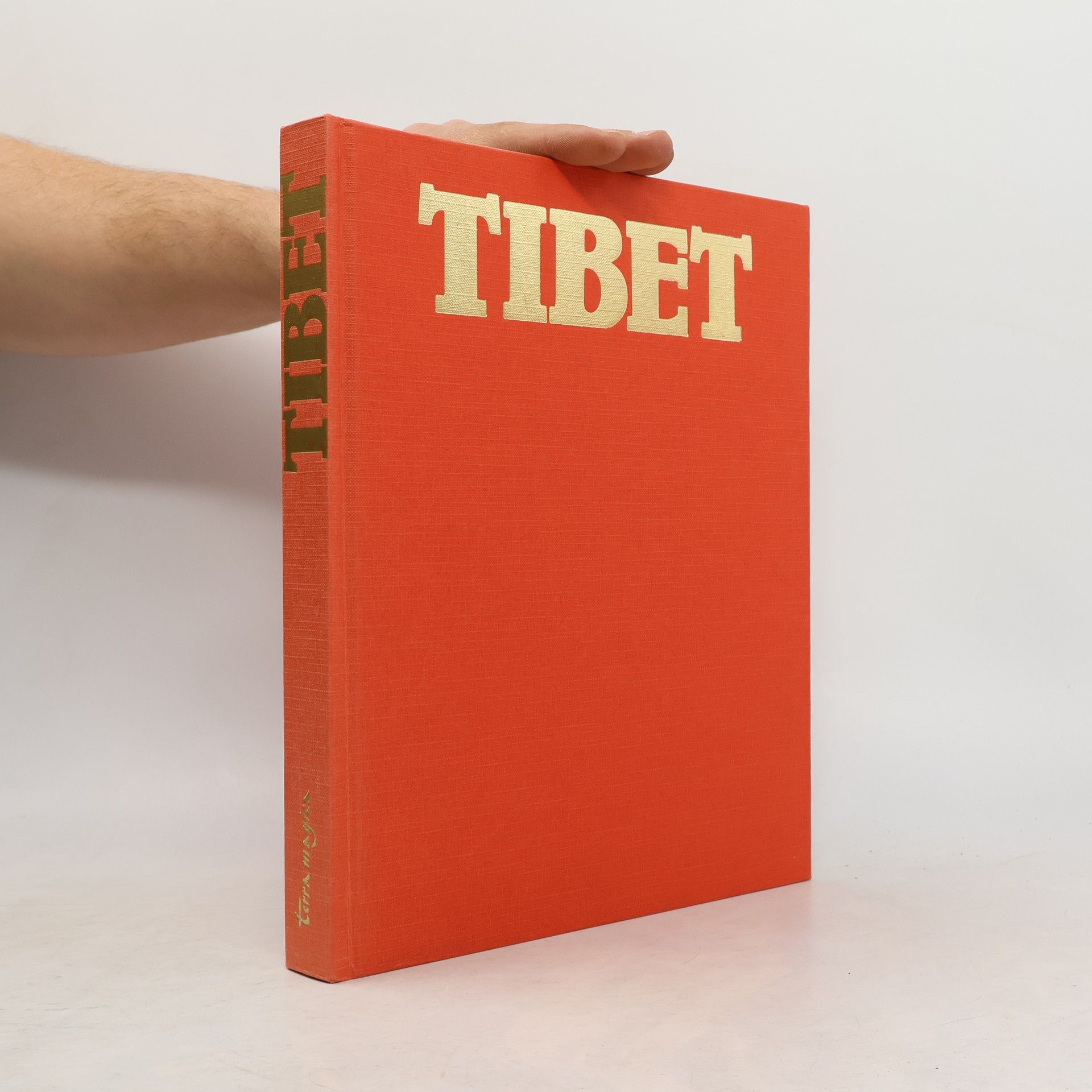 Ngag-dbang-vjigs-med Tibet