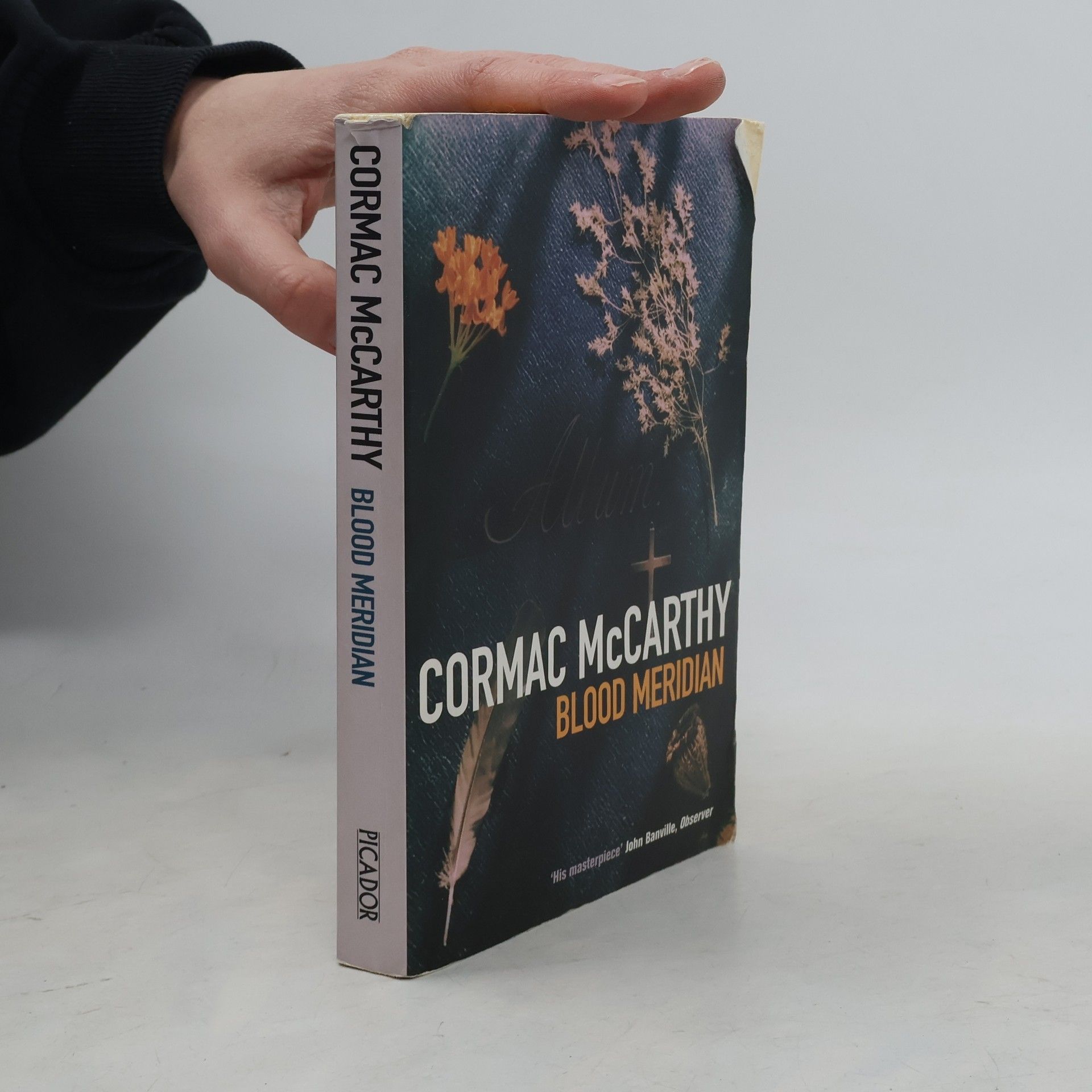 Cormac McCarthy Blood Meridian